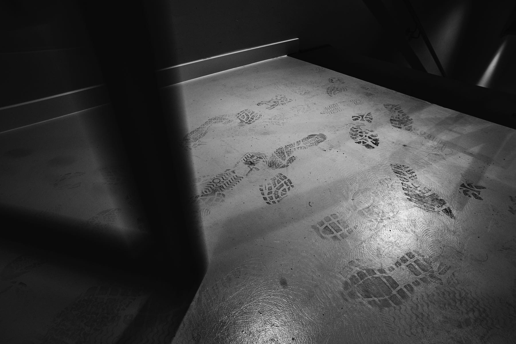 Thomas Willke   Kameramann   München