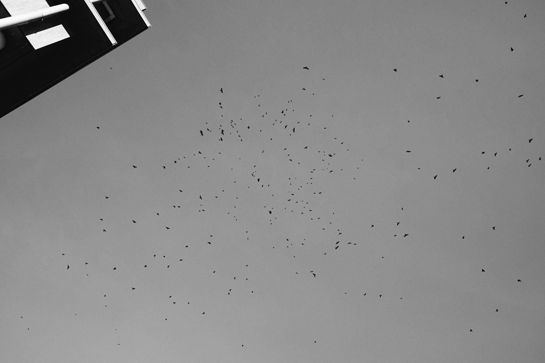 Thomas Willke   Kameramann   München