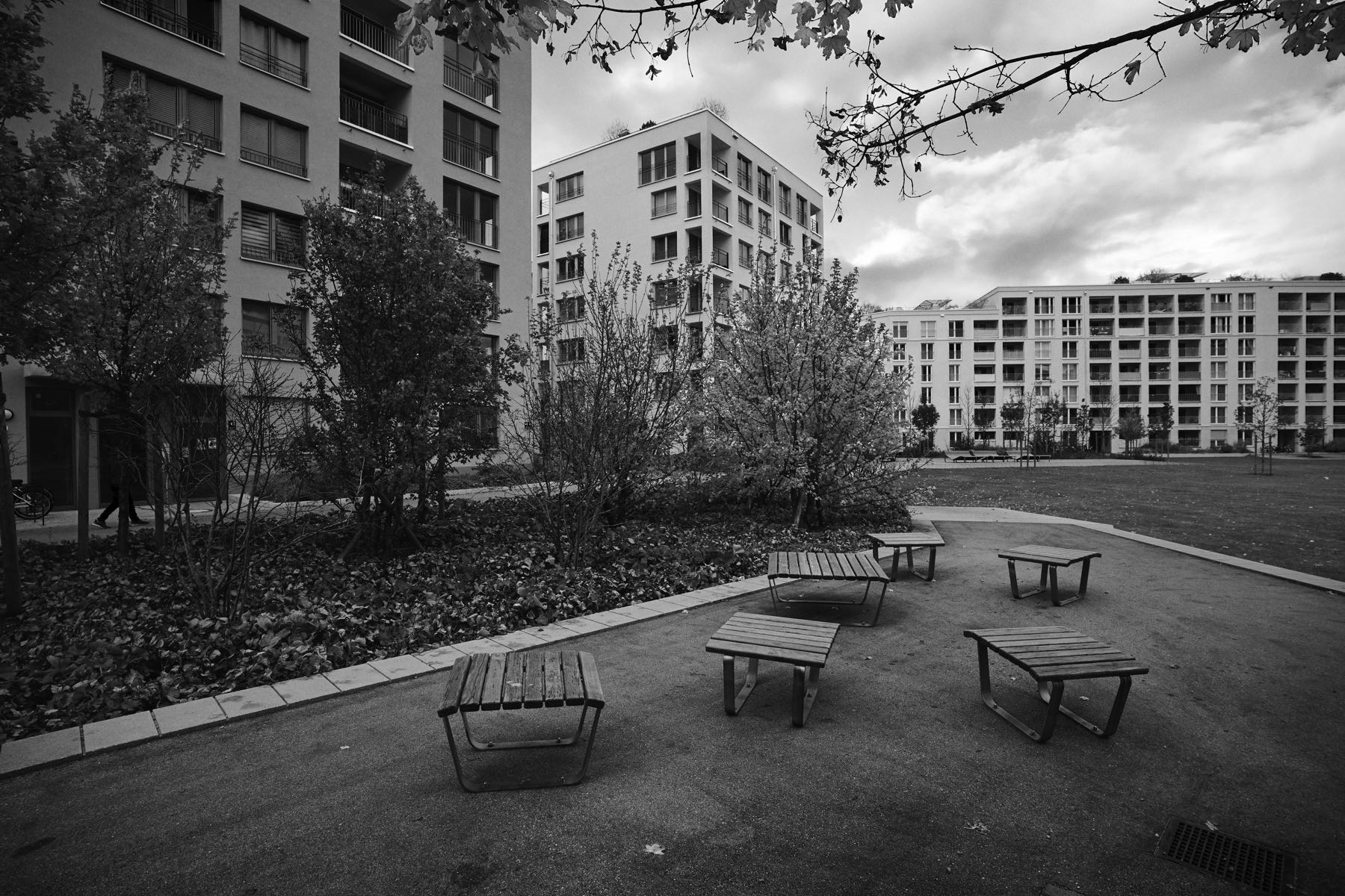 Thomas Willke   Kameramann   München