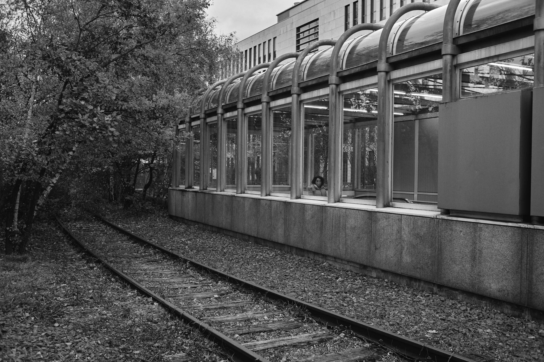 Thomas Willke   Kameramann   München