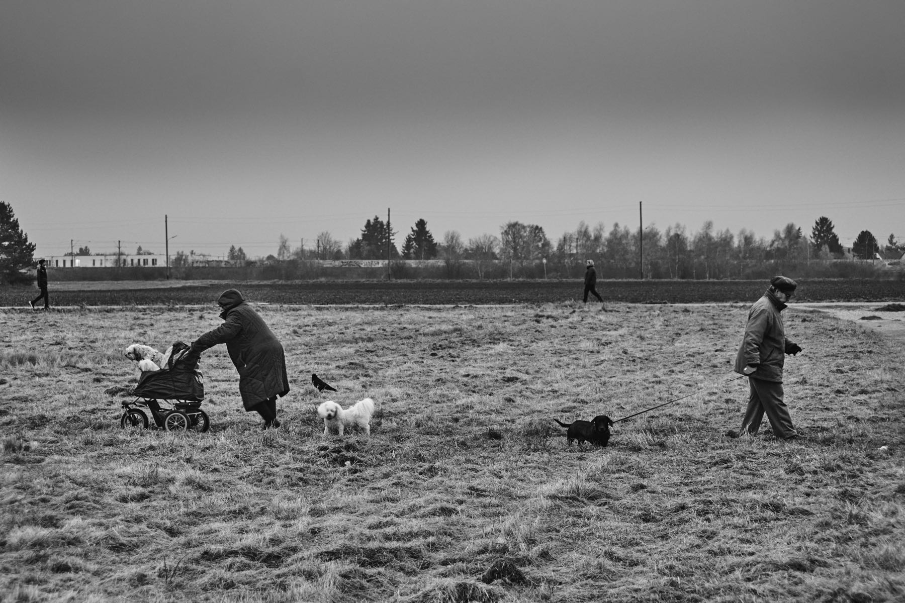 Thomas Willke   Kameramann   München
