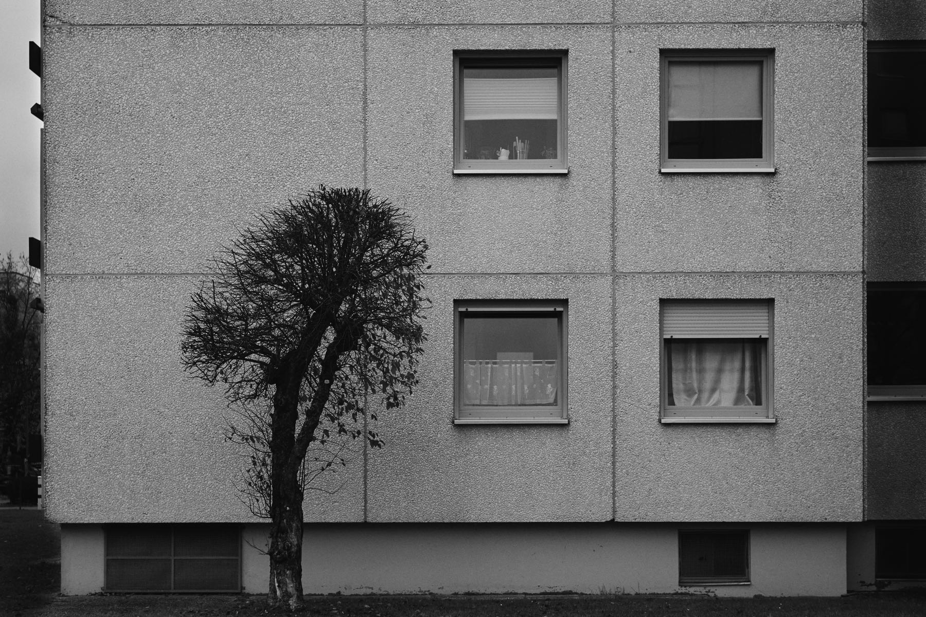 Thomas Willke   Kameramann   München