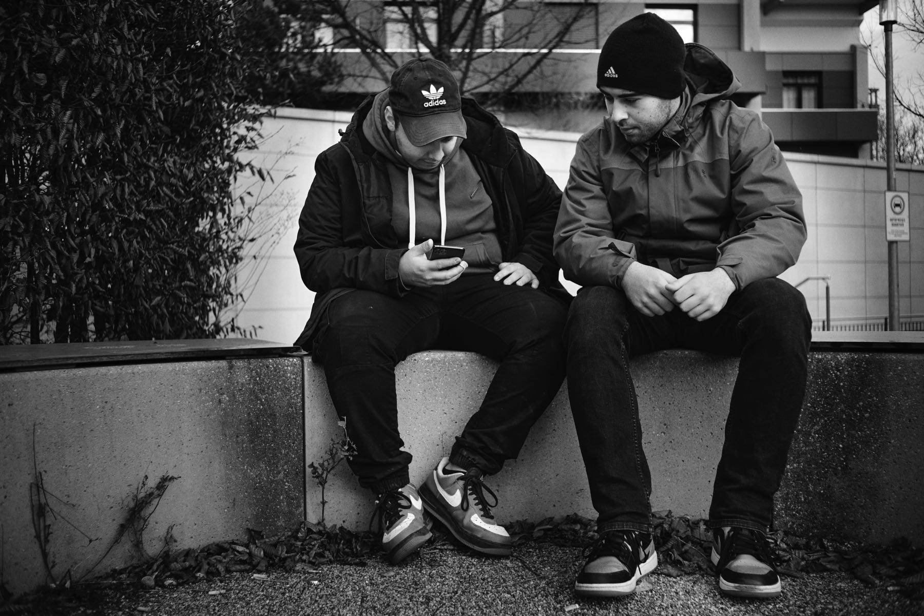 Thomas Willke   Kameramann   München