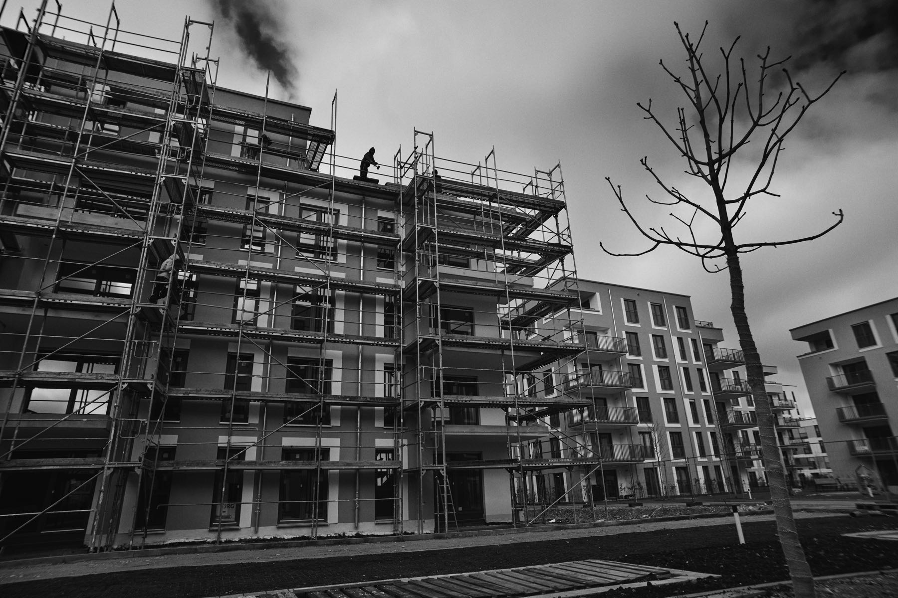 Thomas Willke   Kameramann   München