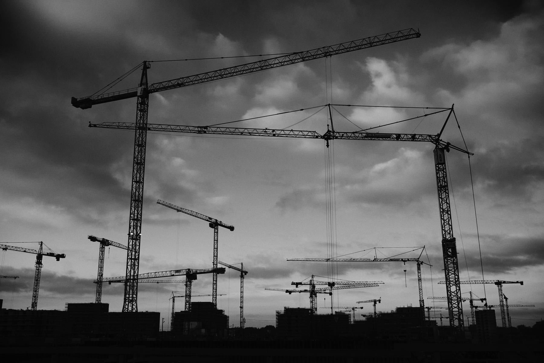 Thomas Willke   Kameramann   München