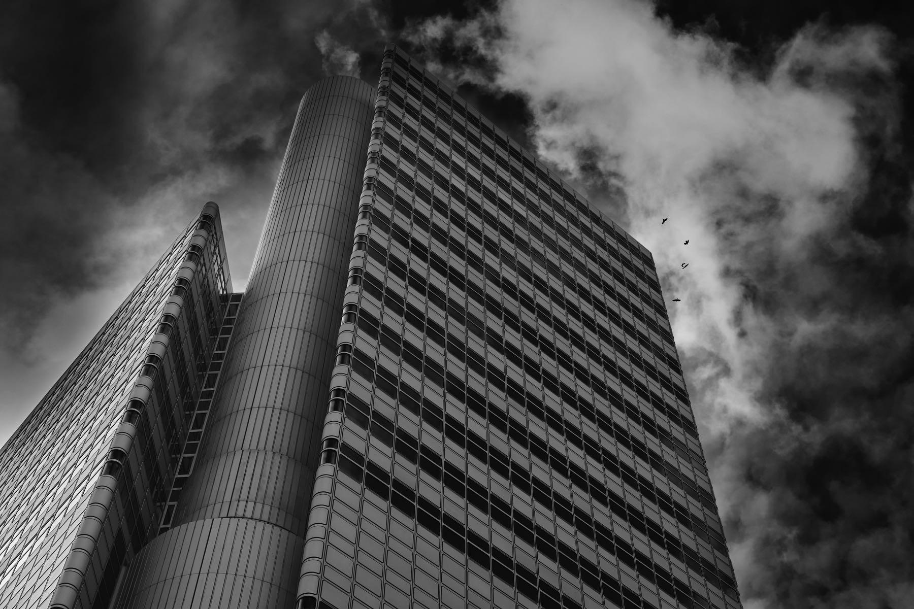 Thomas Willke   Kameramann   München