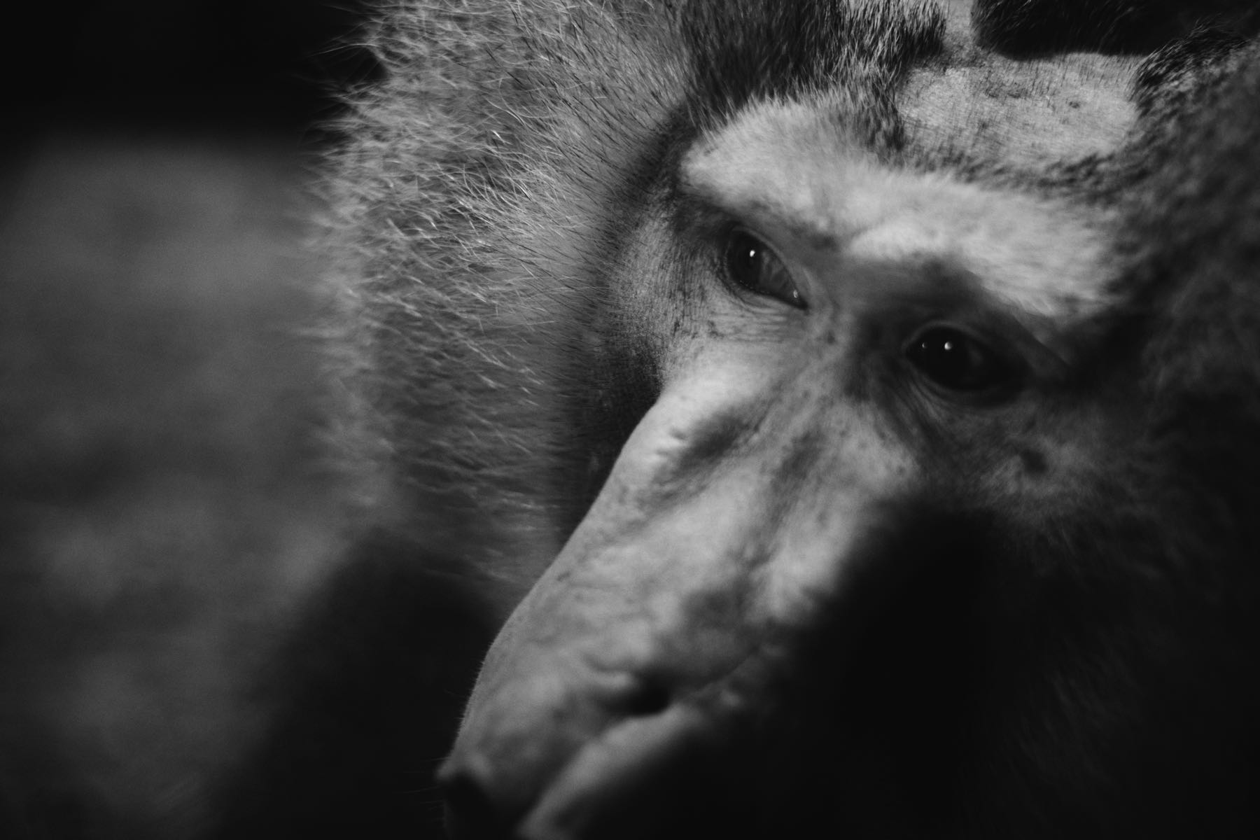 Thomas Willke   Kameramann   München