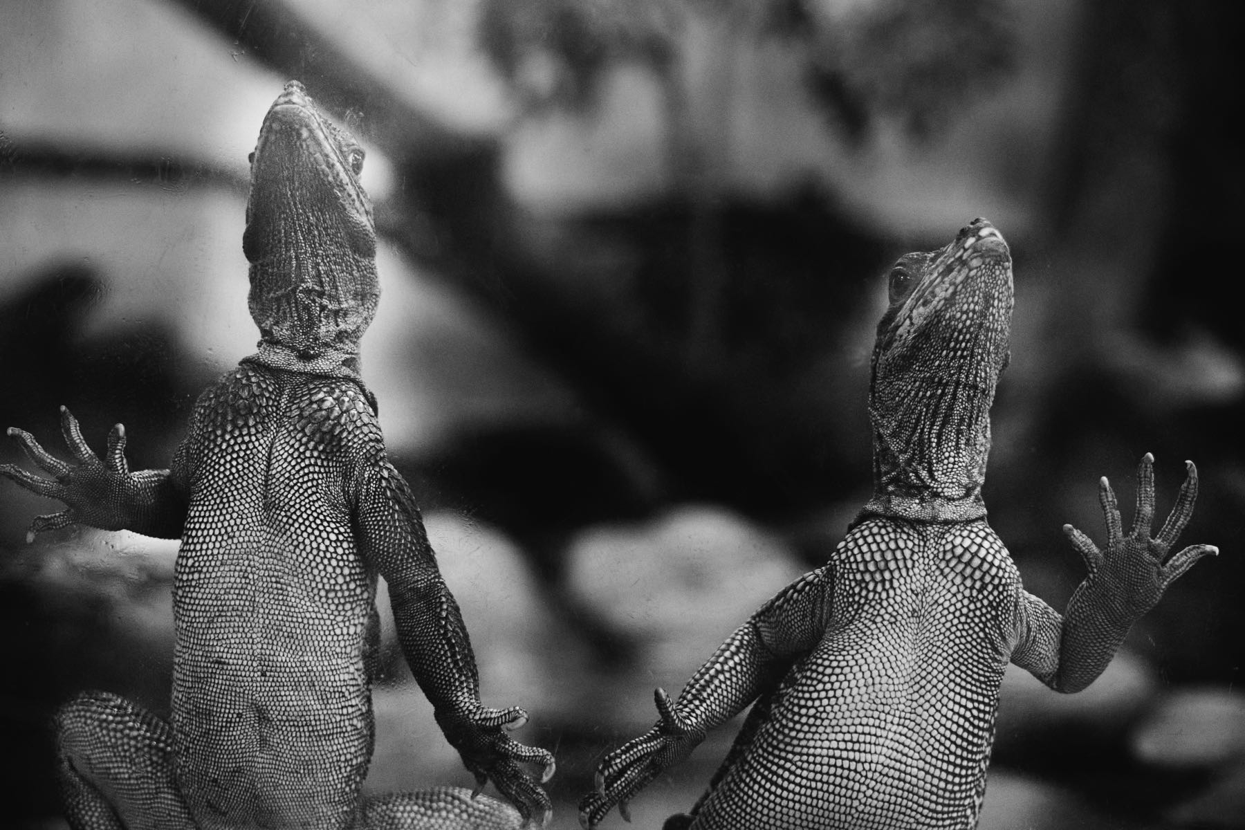 Thomas Willke   Kameramann   München