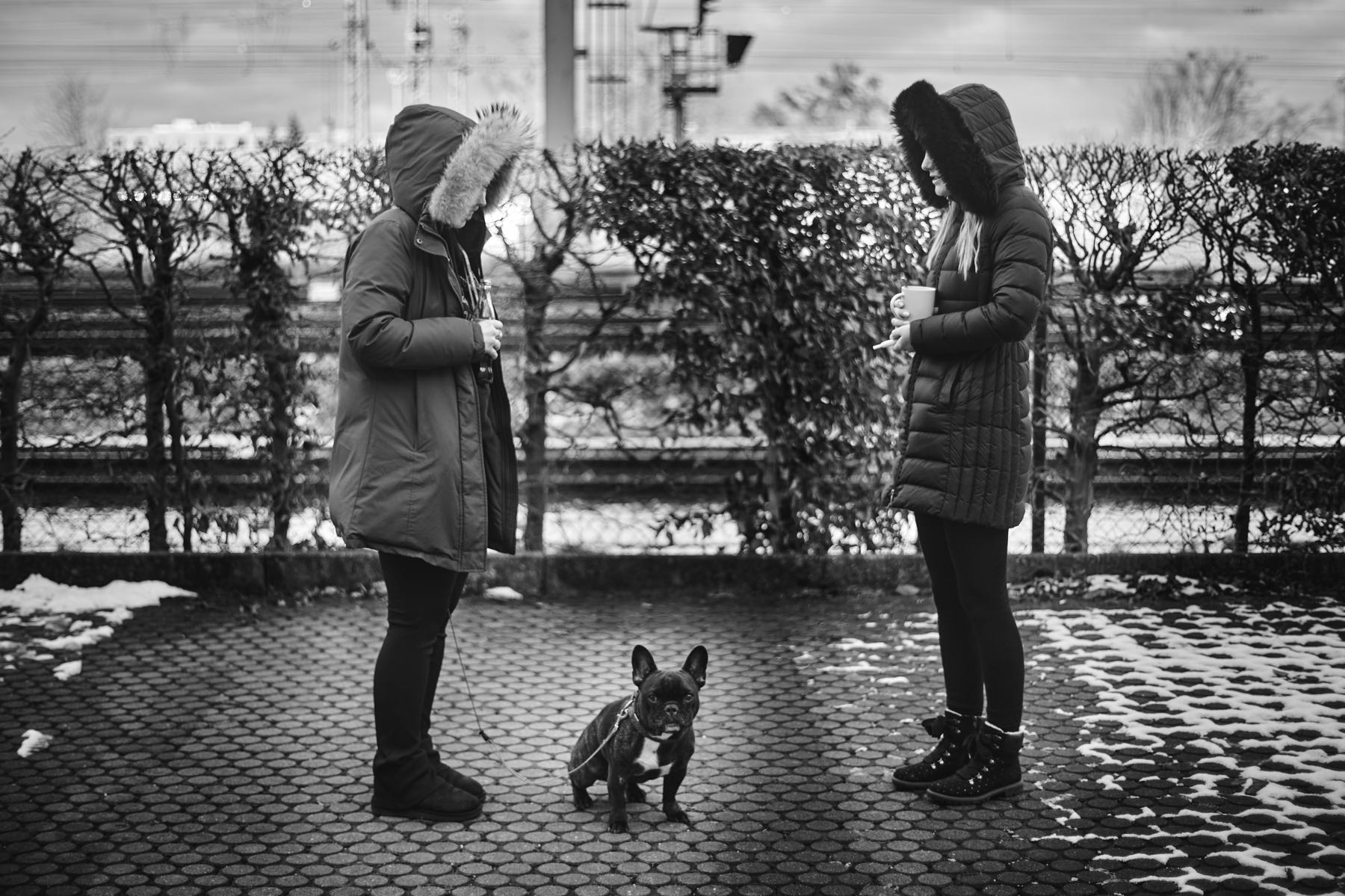 Thomas Willke   Kameramann   München