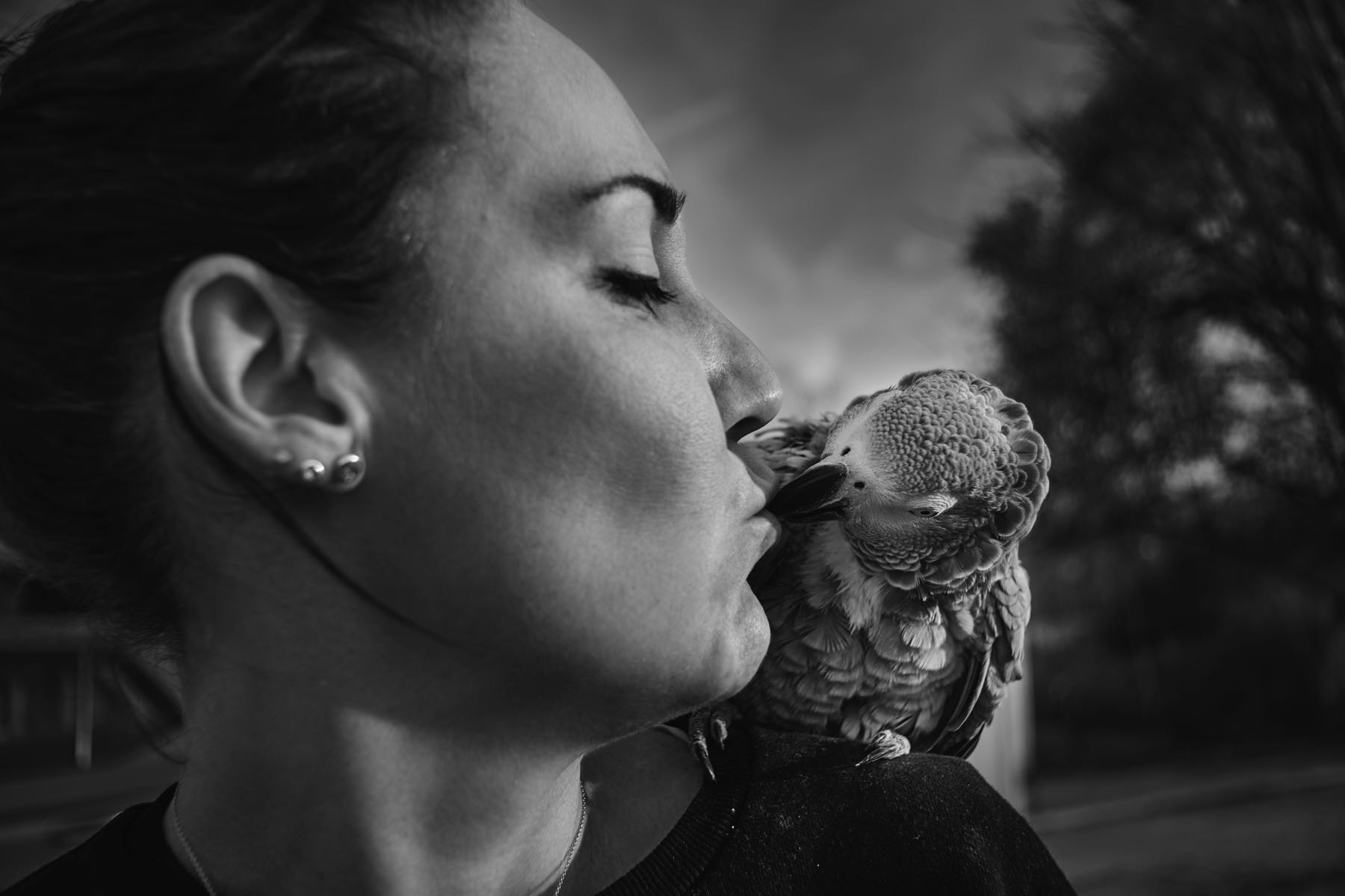 Thomas Willke   Kameramann   München