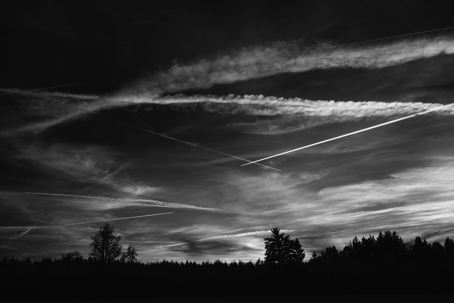 Thomas Willke   Kameramann   München