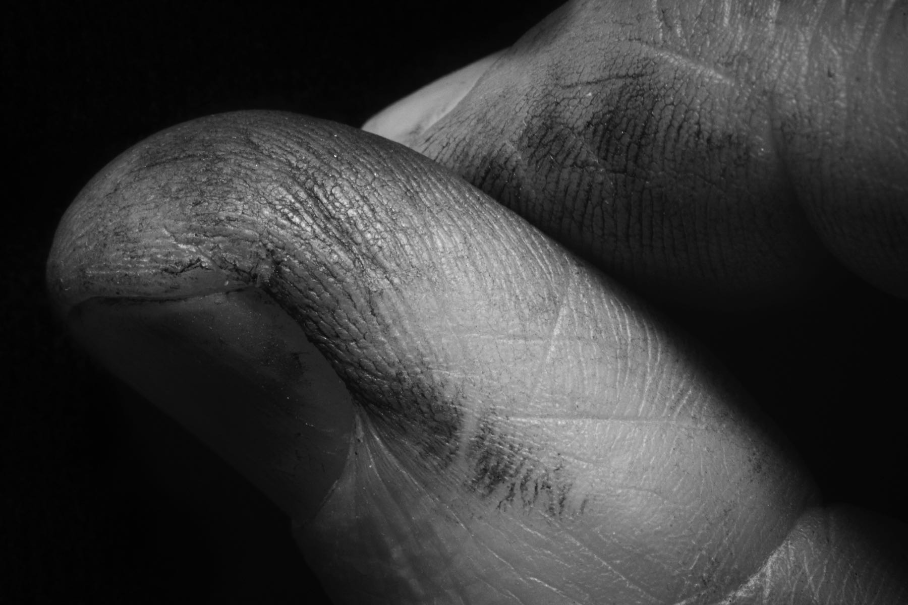 Thomas Willke   Kameramann   München