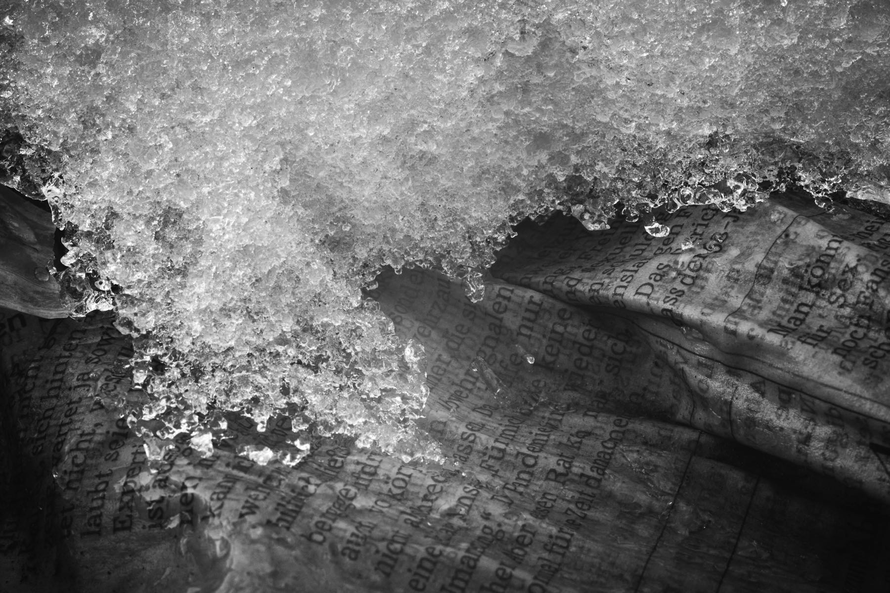 Thomas Willke   Kameramann   München