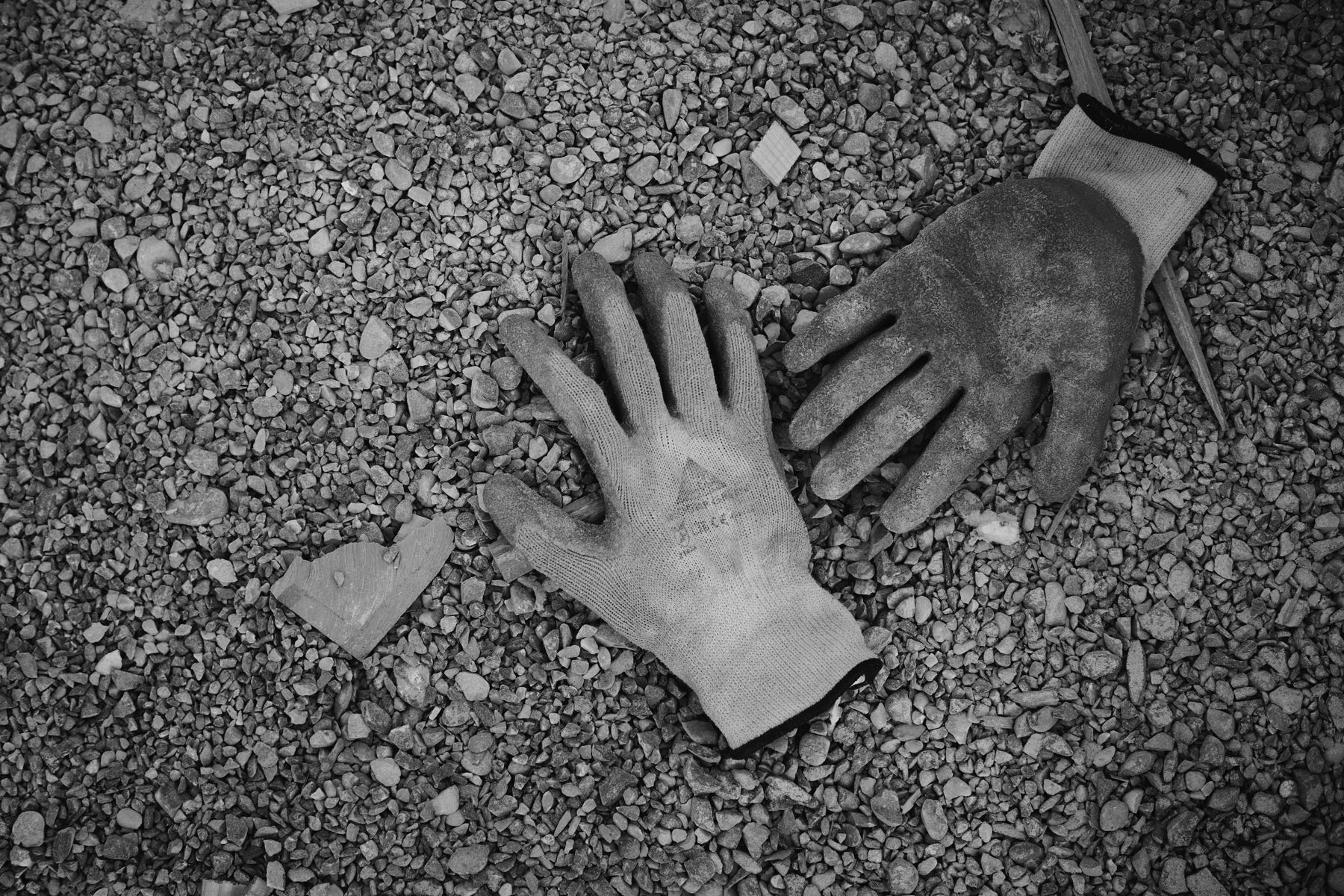 Thomas Willke   Kameramann   München