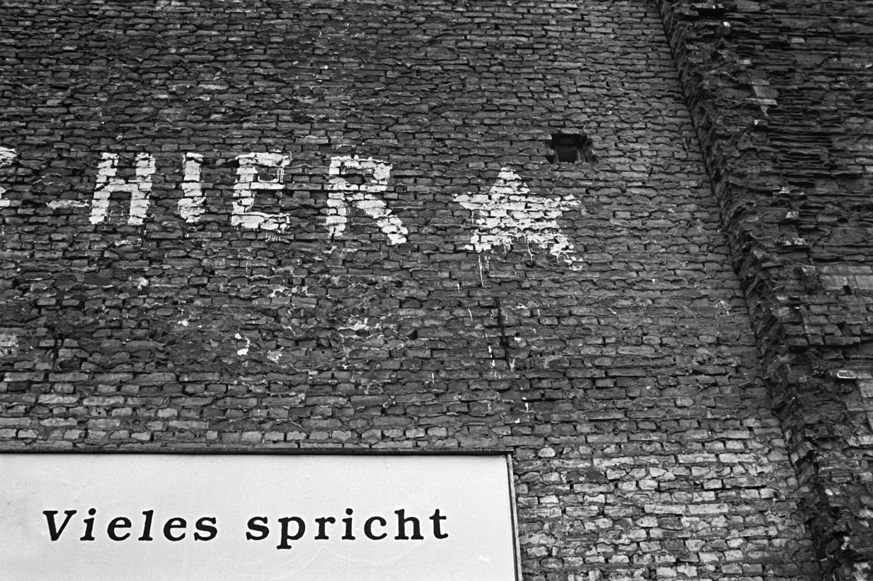 Thomas Willke &nbsp;&nbsp;Kameramann &nbsp;&nbsp;München