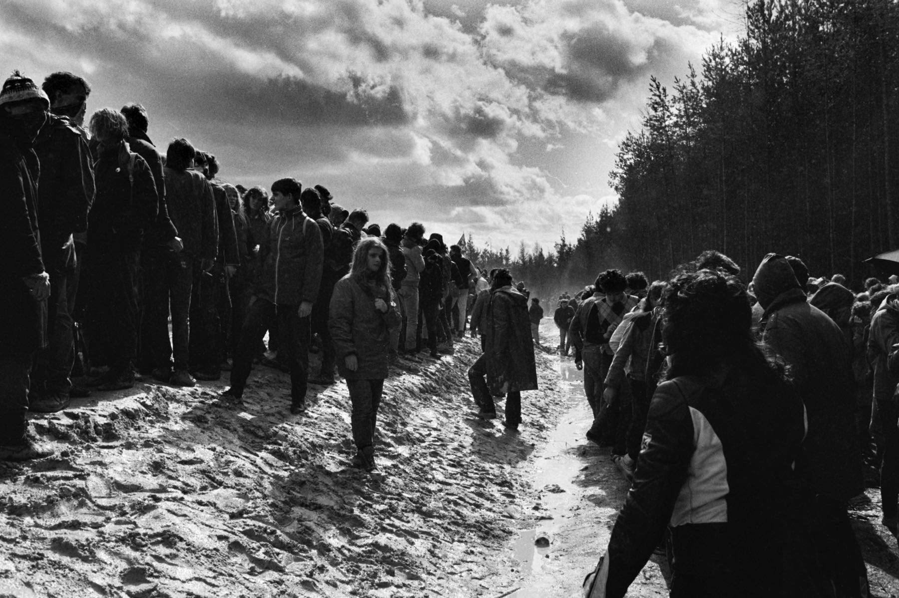 Thomas Willke   Kameramann   München