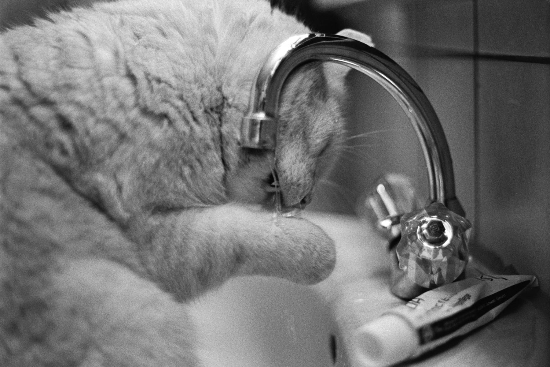 Thomas Willke   Kameramann   München