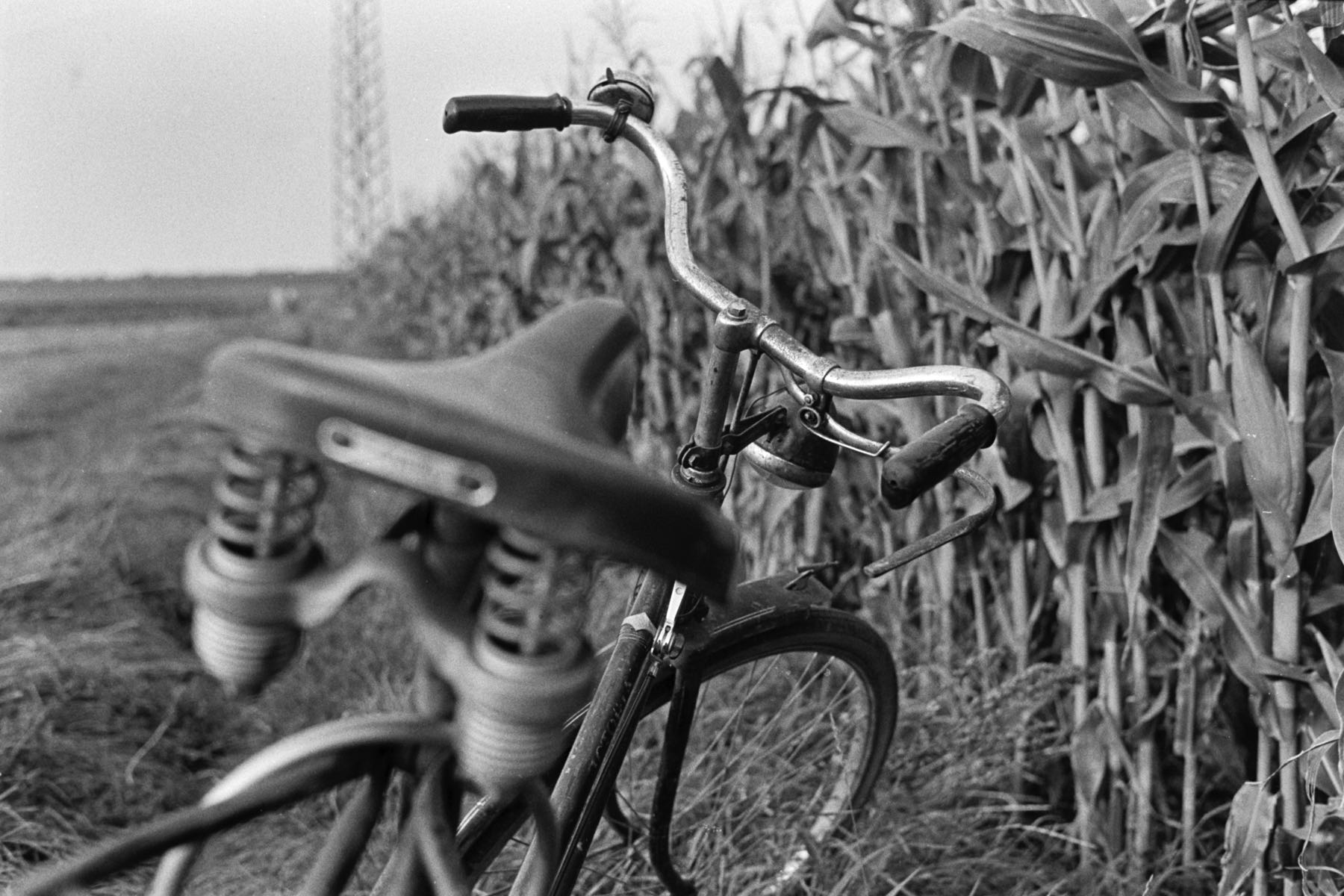 Thomas Willke   Kameramann   München