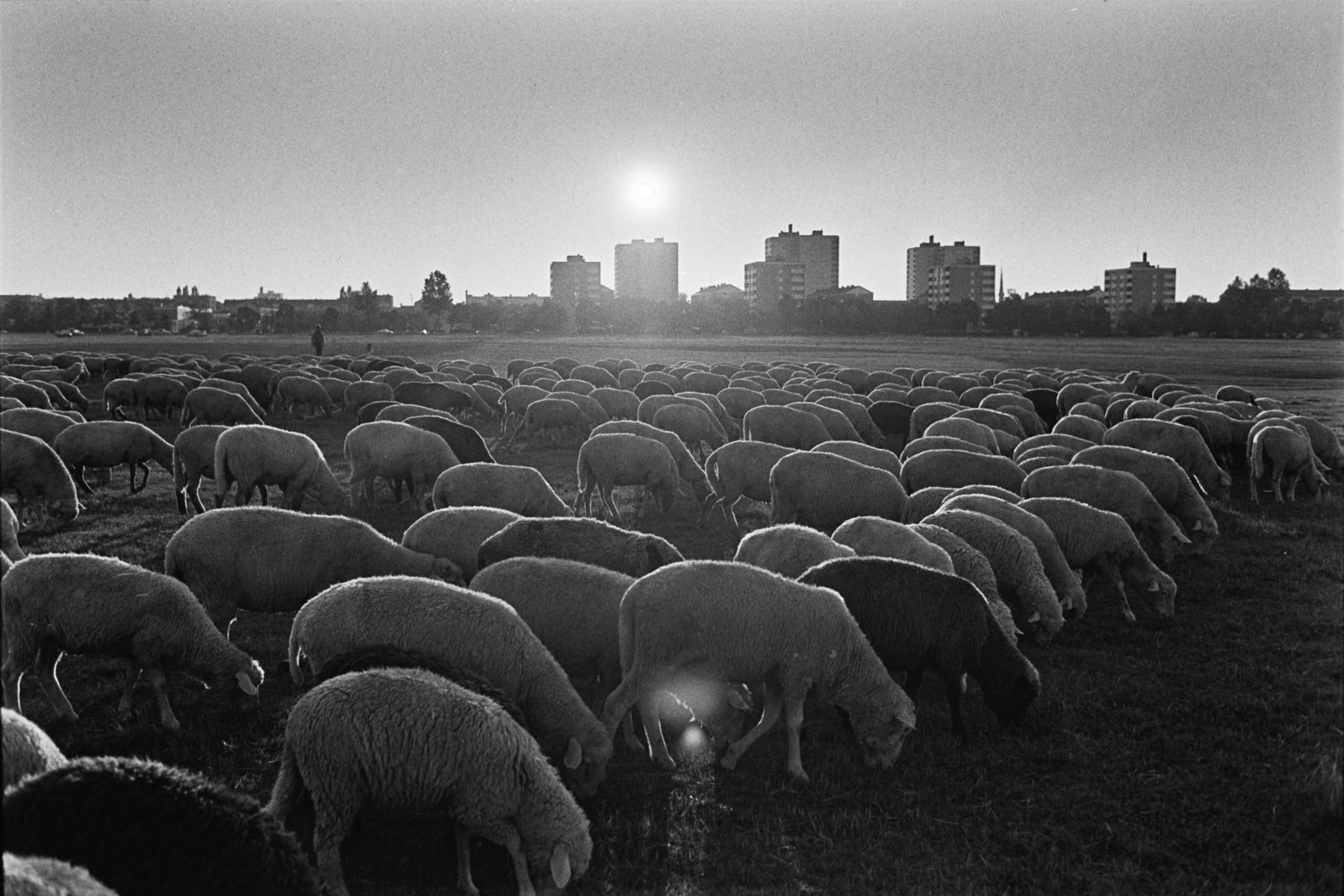 Thomas Willke   Kameramann   München