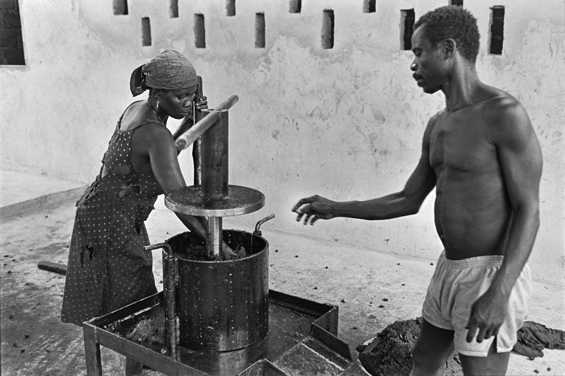 Thomas Willke   Kameramann   München