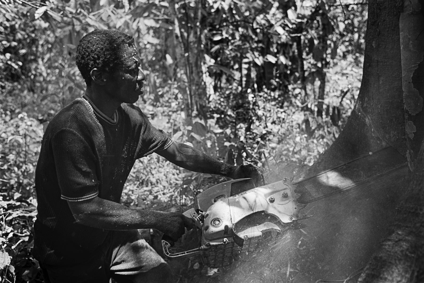 Thomas Willke   Kameramann   München