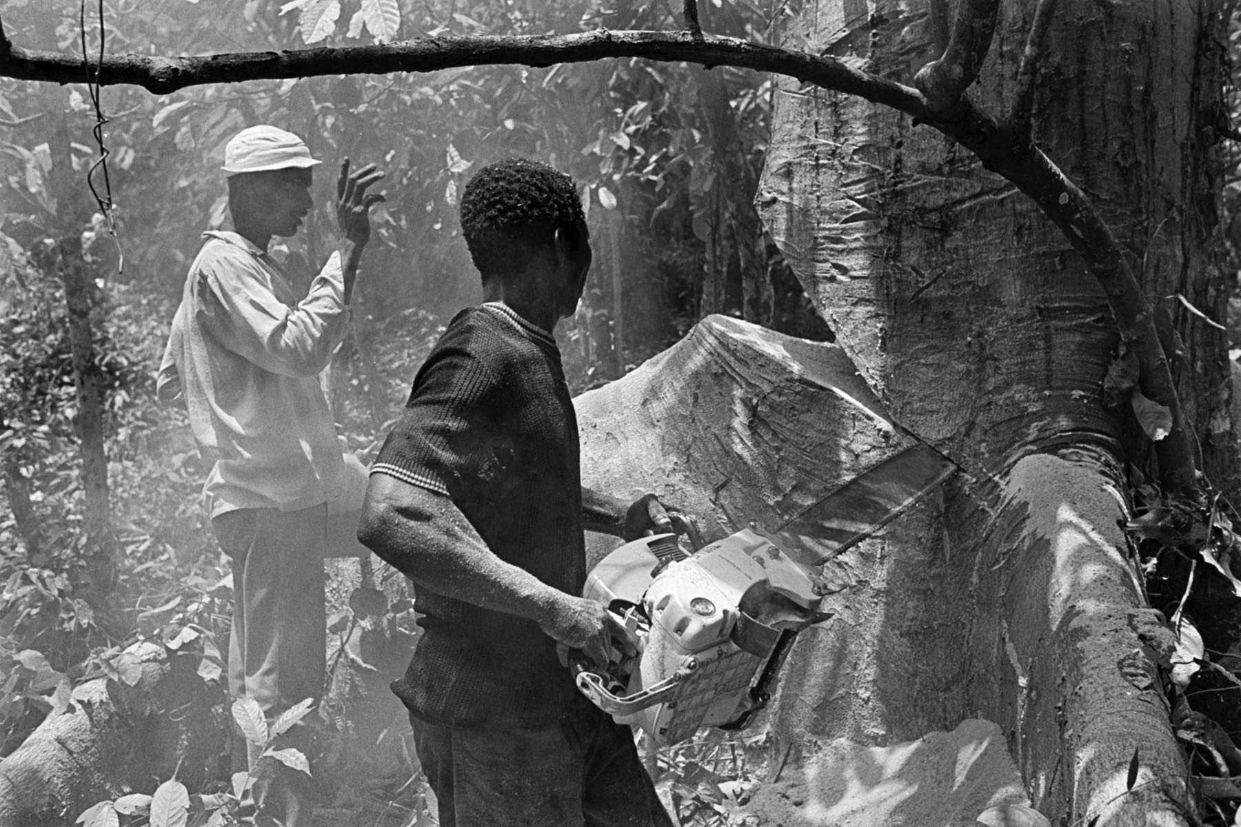 Thomas Willke   Kameramann   München