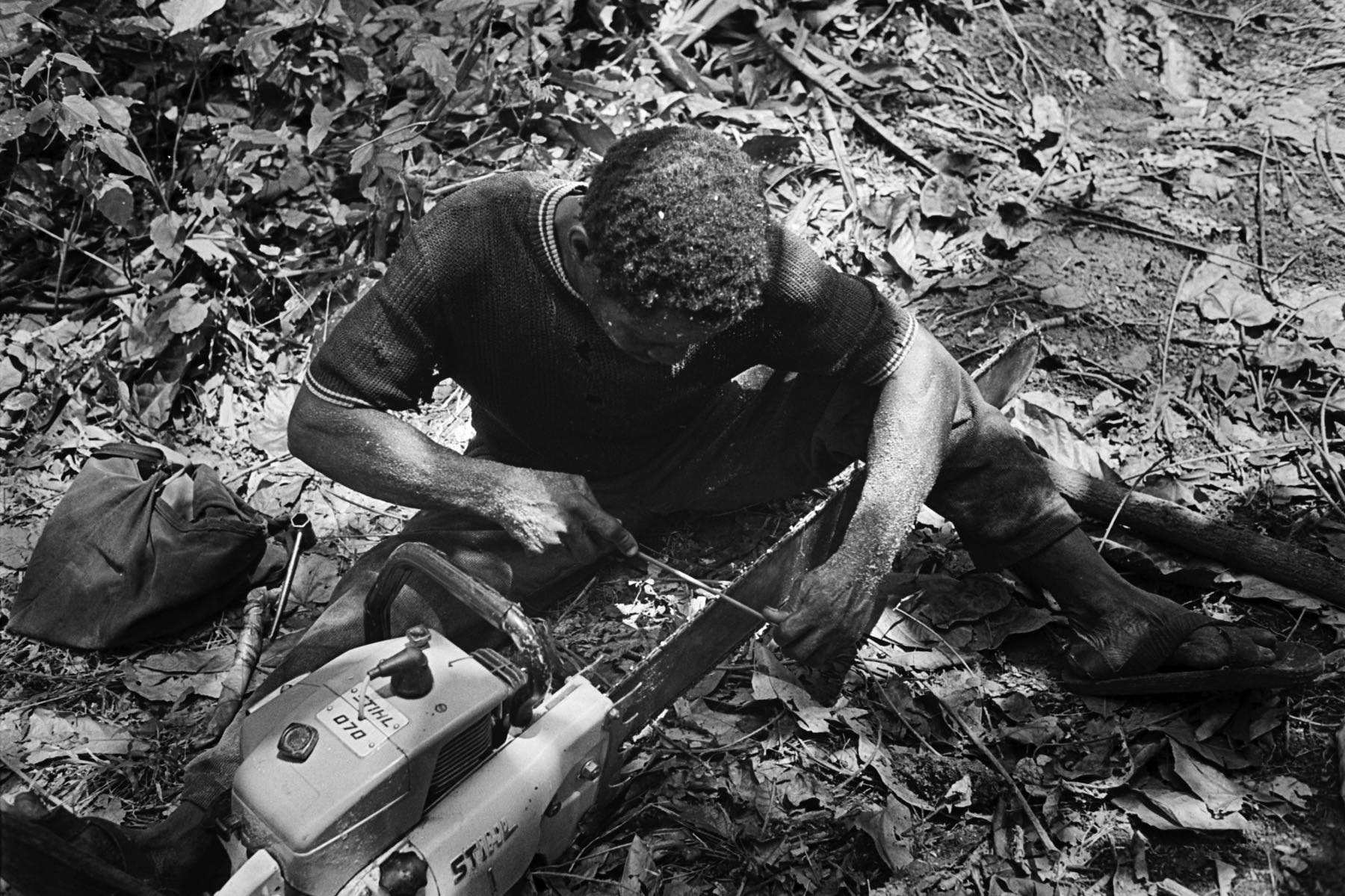 Thomas Willke   Kameramann   München