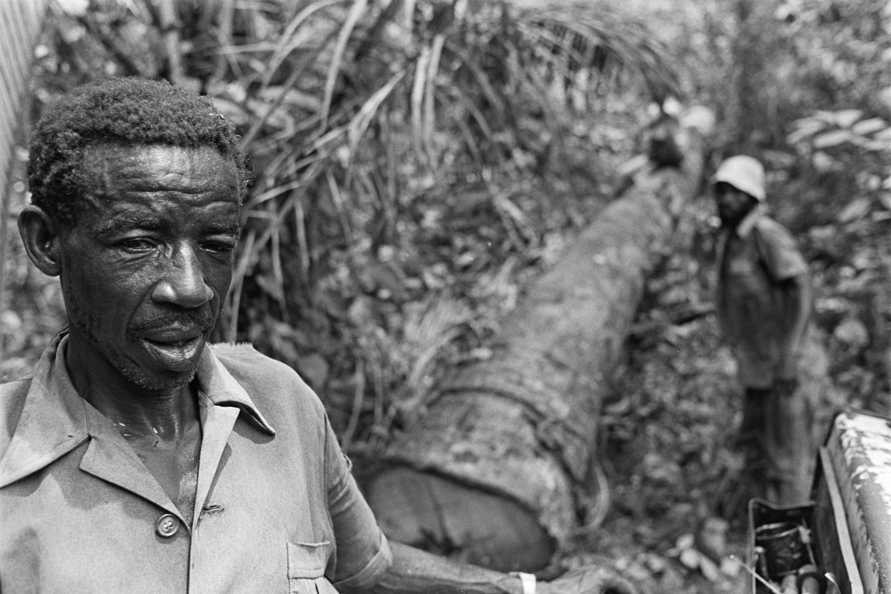 Thomas Willke   Kameramann   München