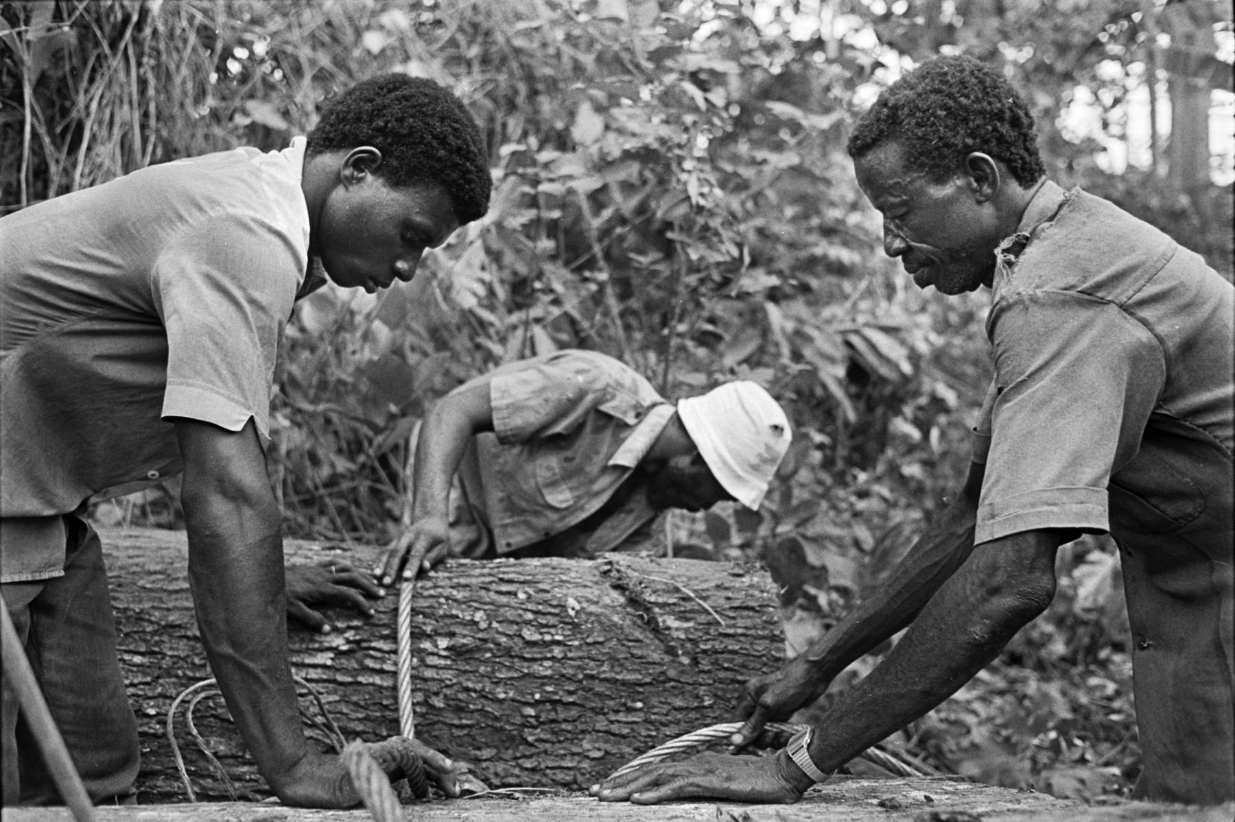 Thomas Willke   Kameramann   München