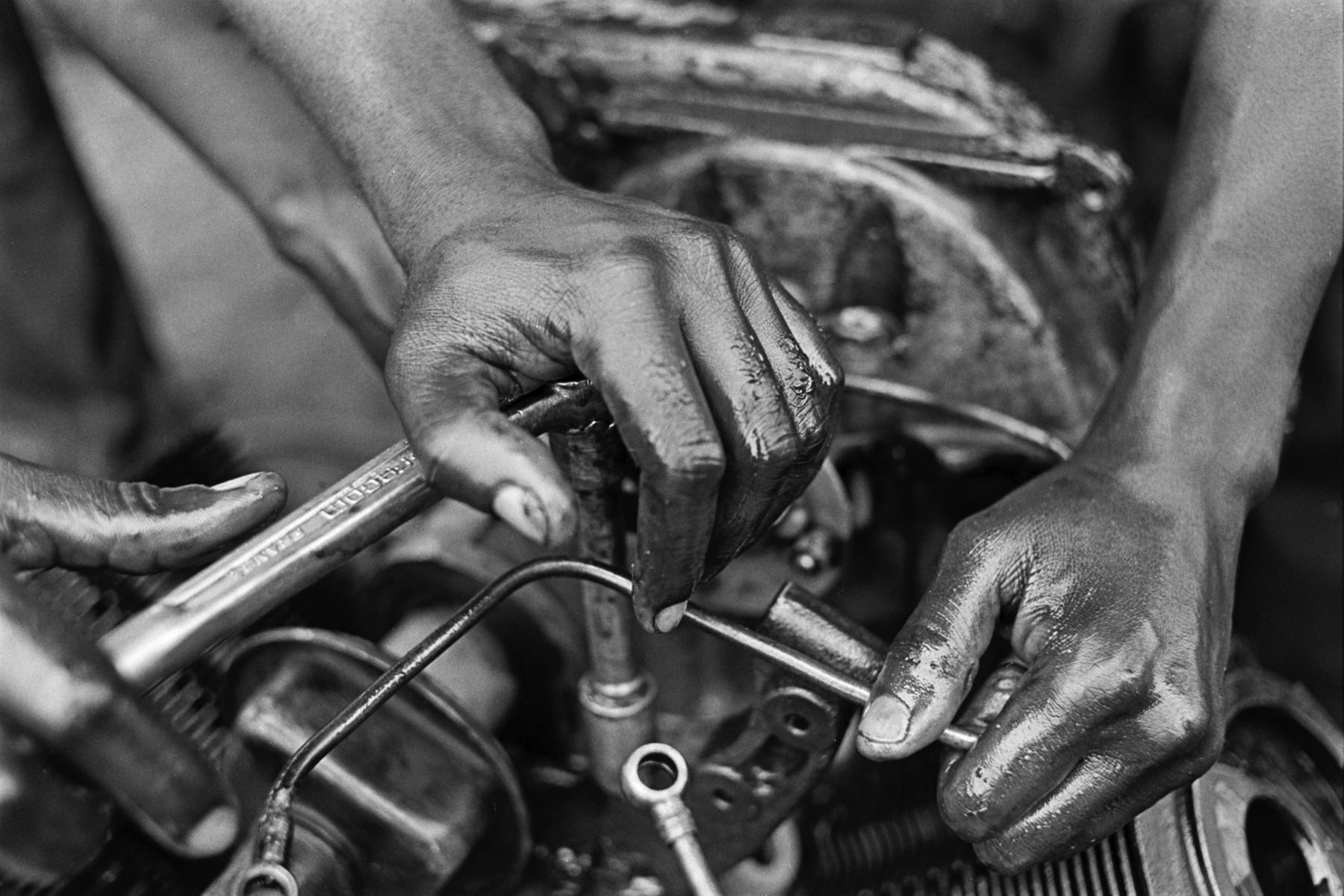 Thomas Willke   Kameramann   München