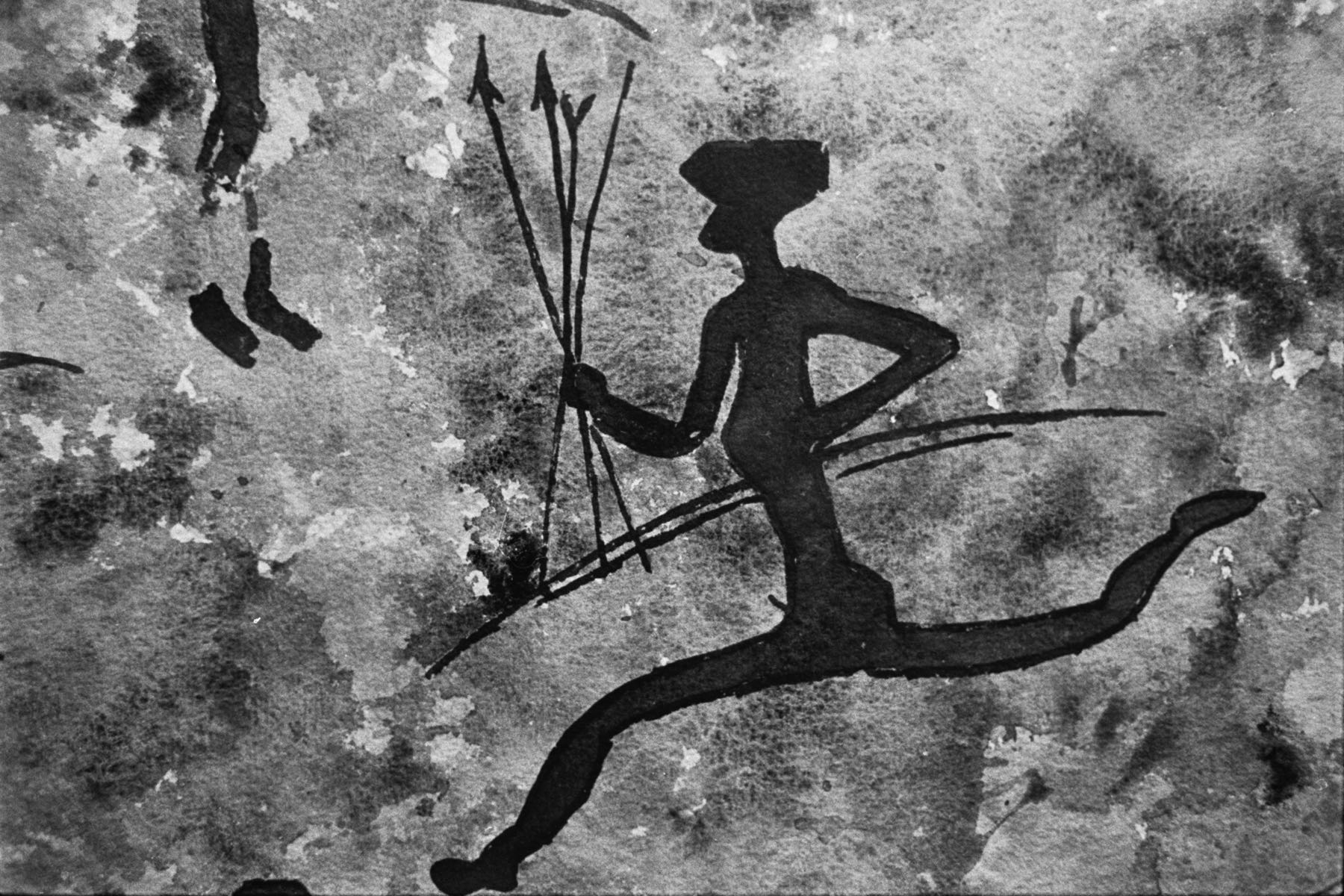 Thomas Willke   Kameramann   München