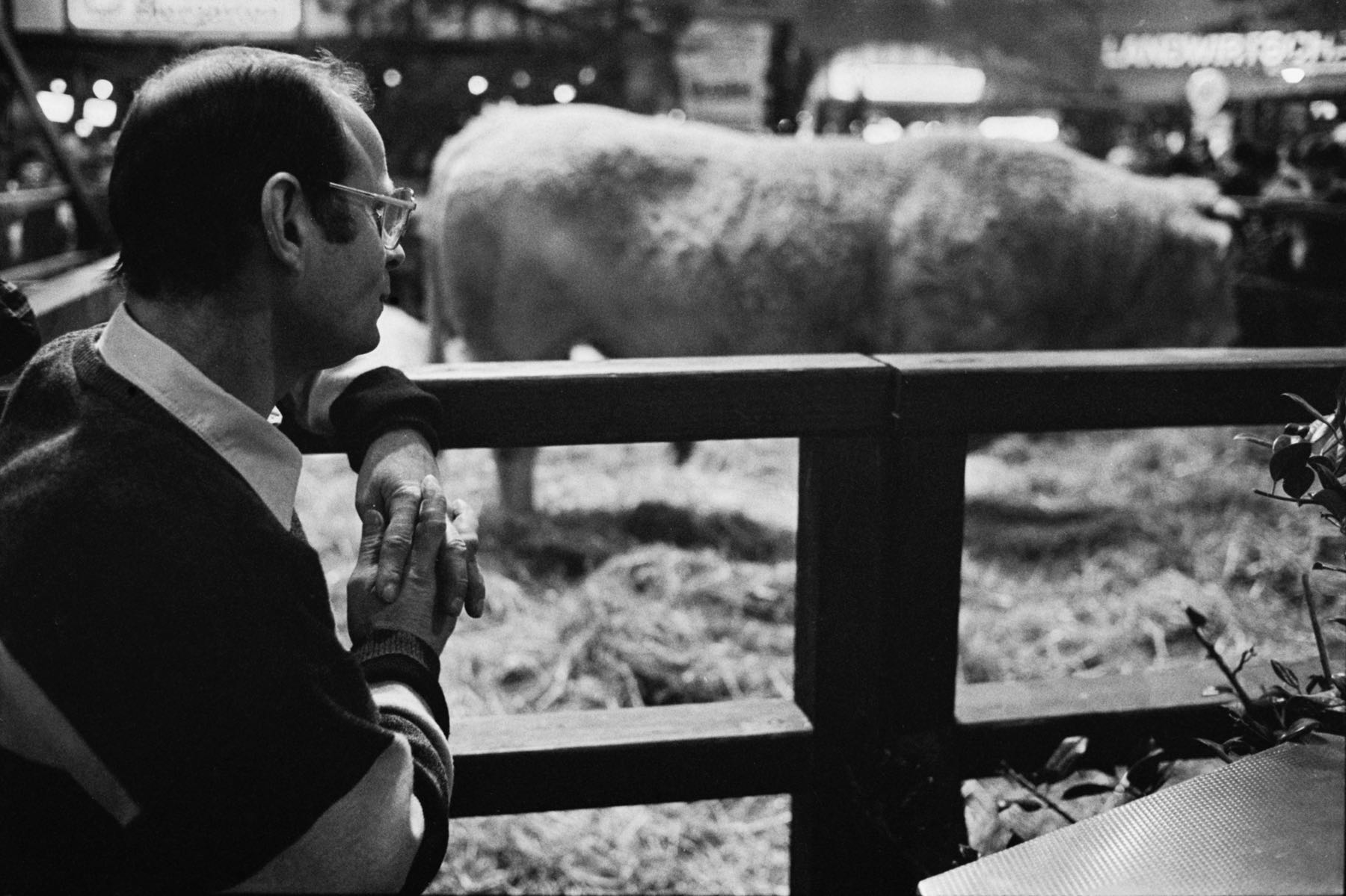 Thomas Willke   Kameramann   München