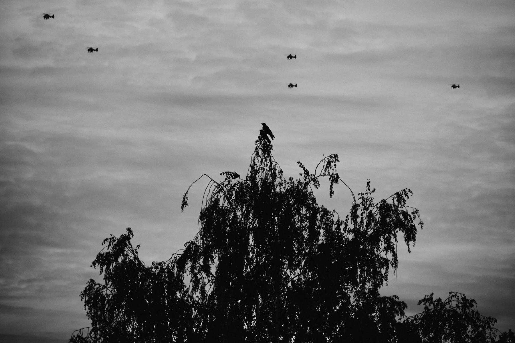 Thomas Willke   Kameramann   München