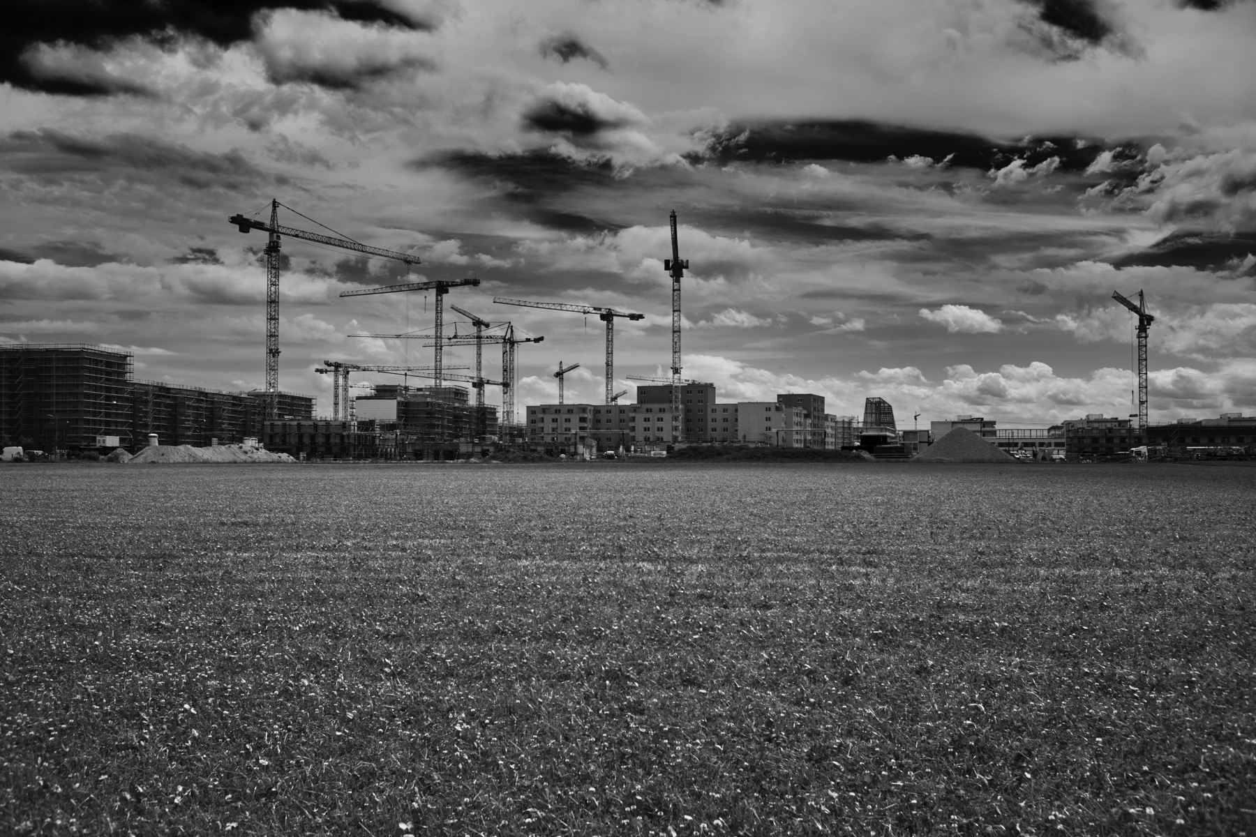 Thomas Willke   Kameramann   München