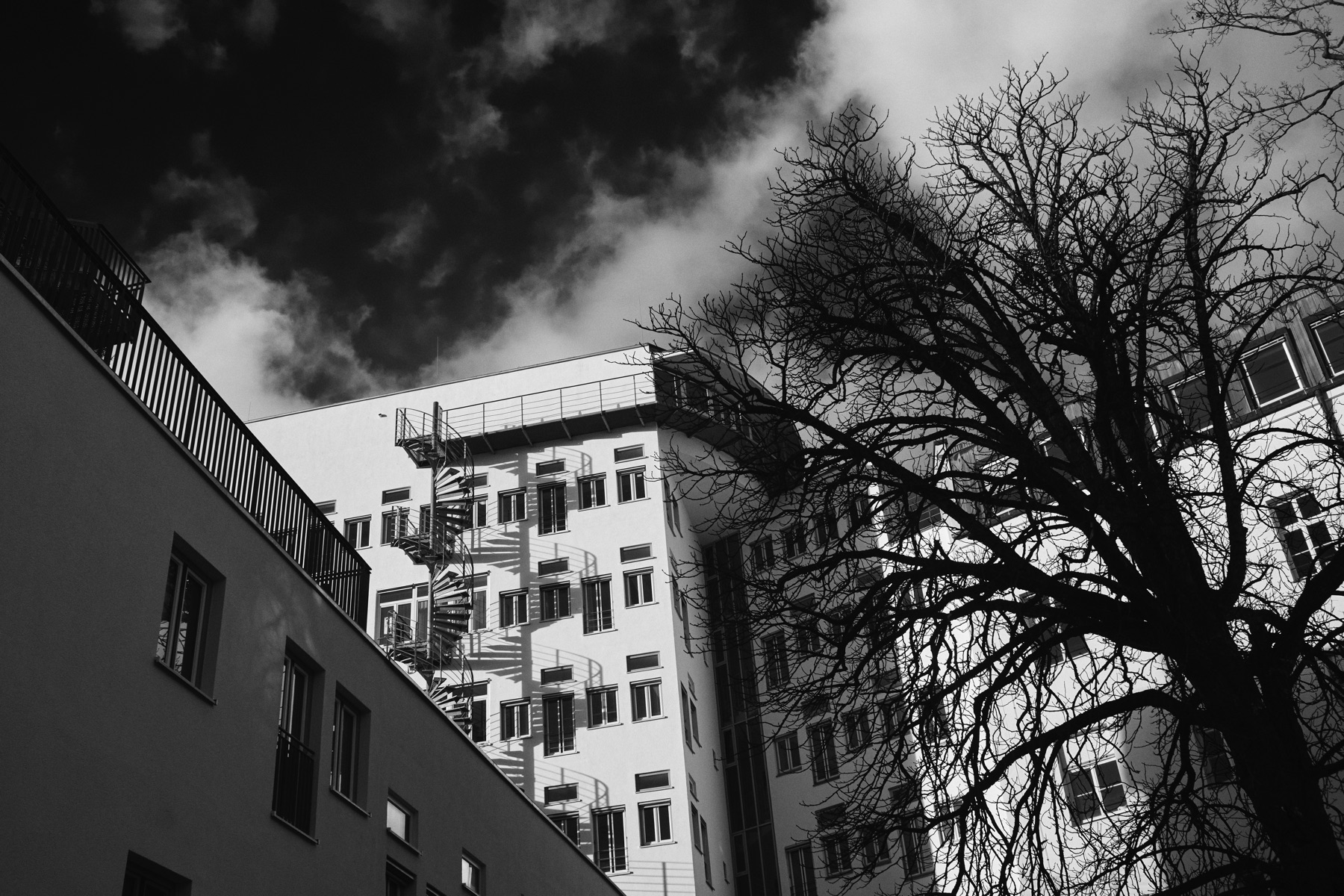 Thomas Willke   Kameramann   München