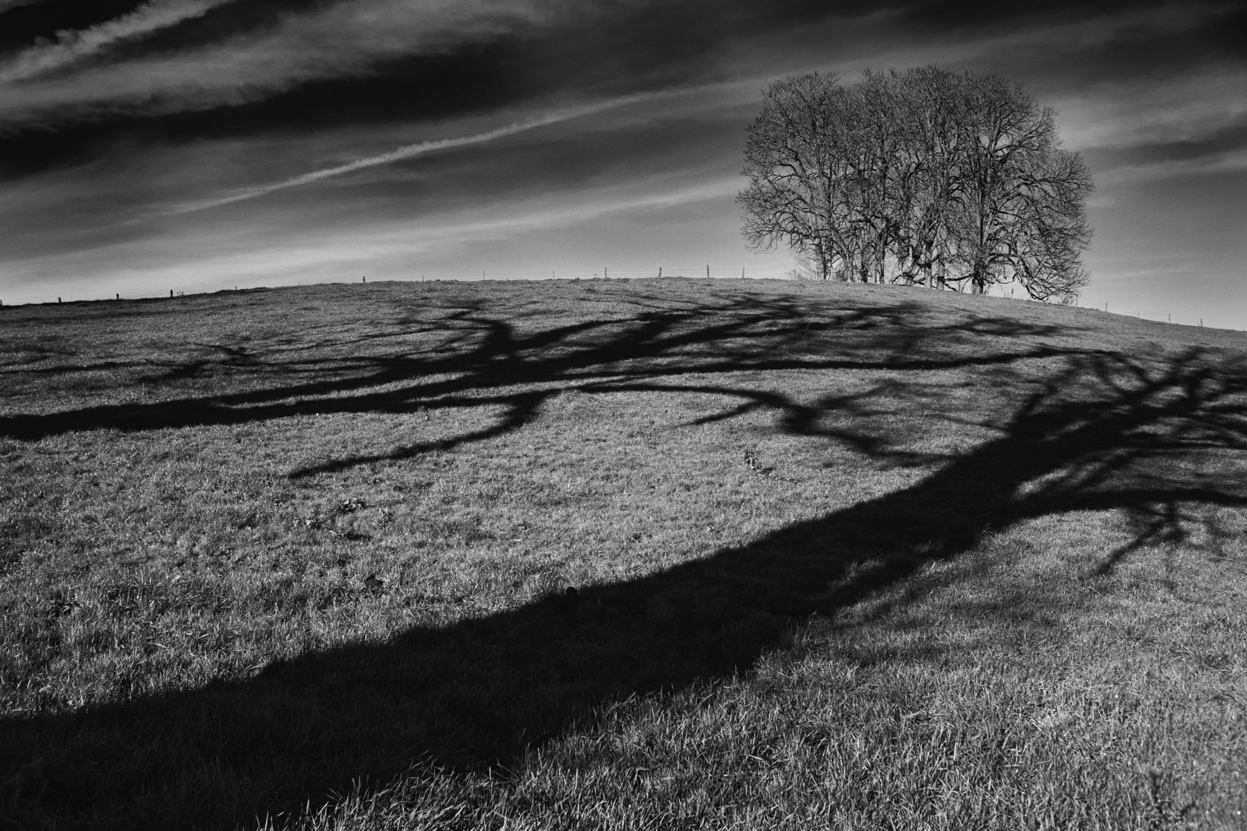 Thomas Willke   Kameramann   München