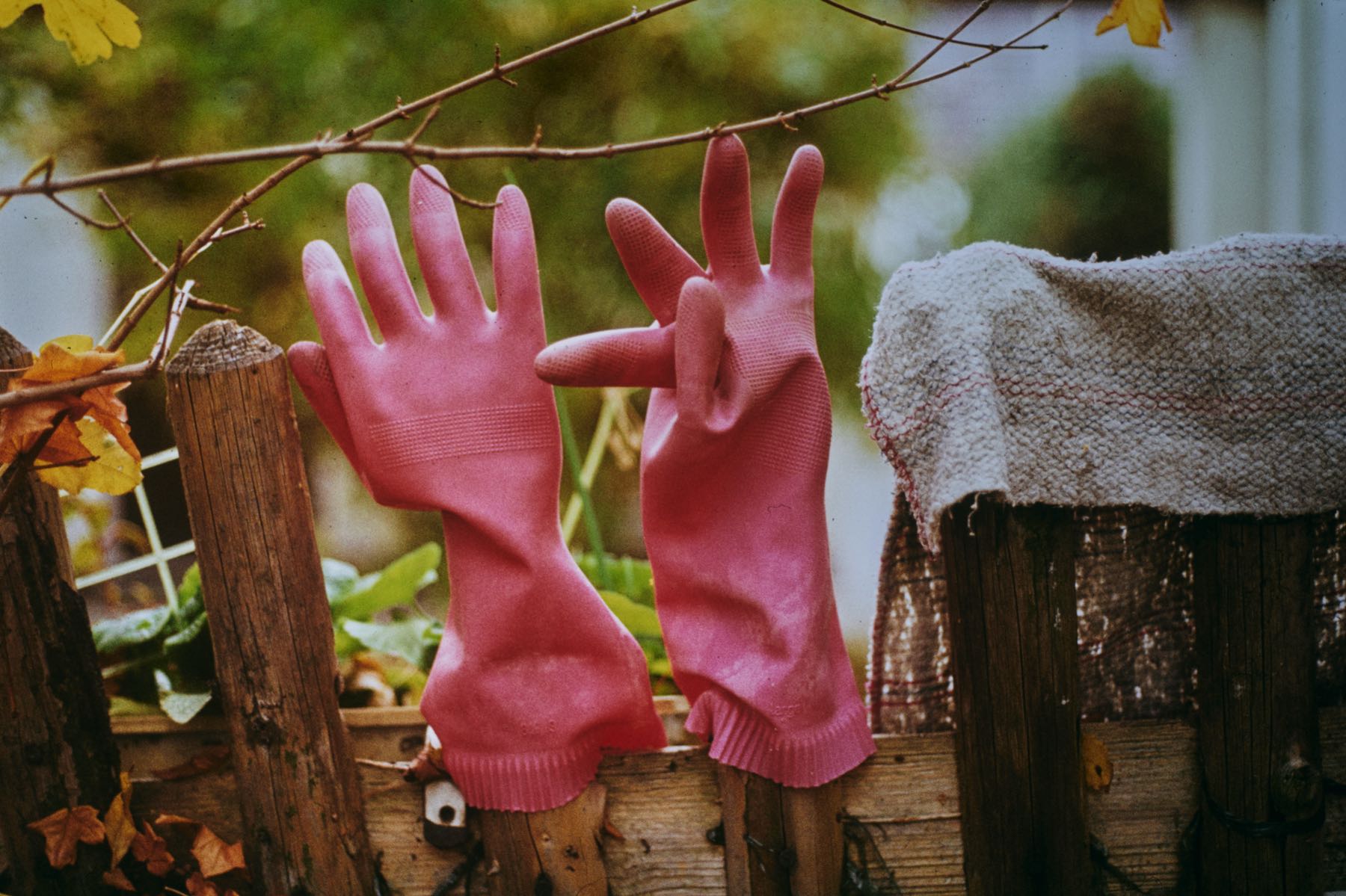 Thomas Willke   Kameramann   München