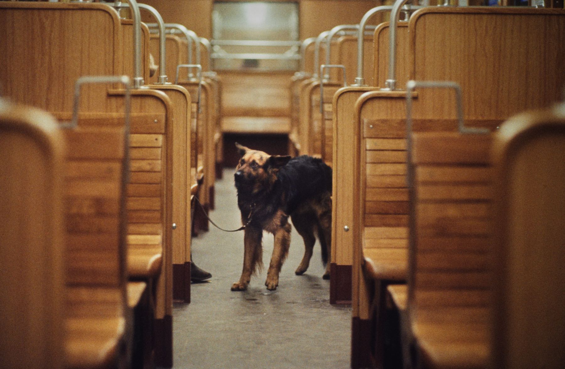 Thomas Willke   Kameramann   München