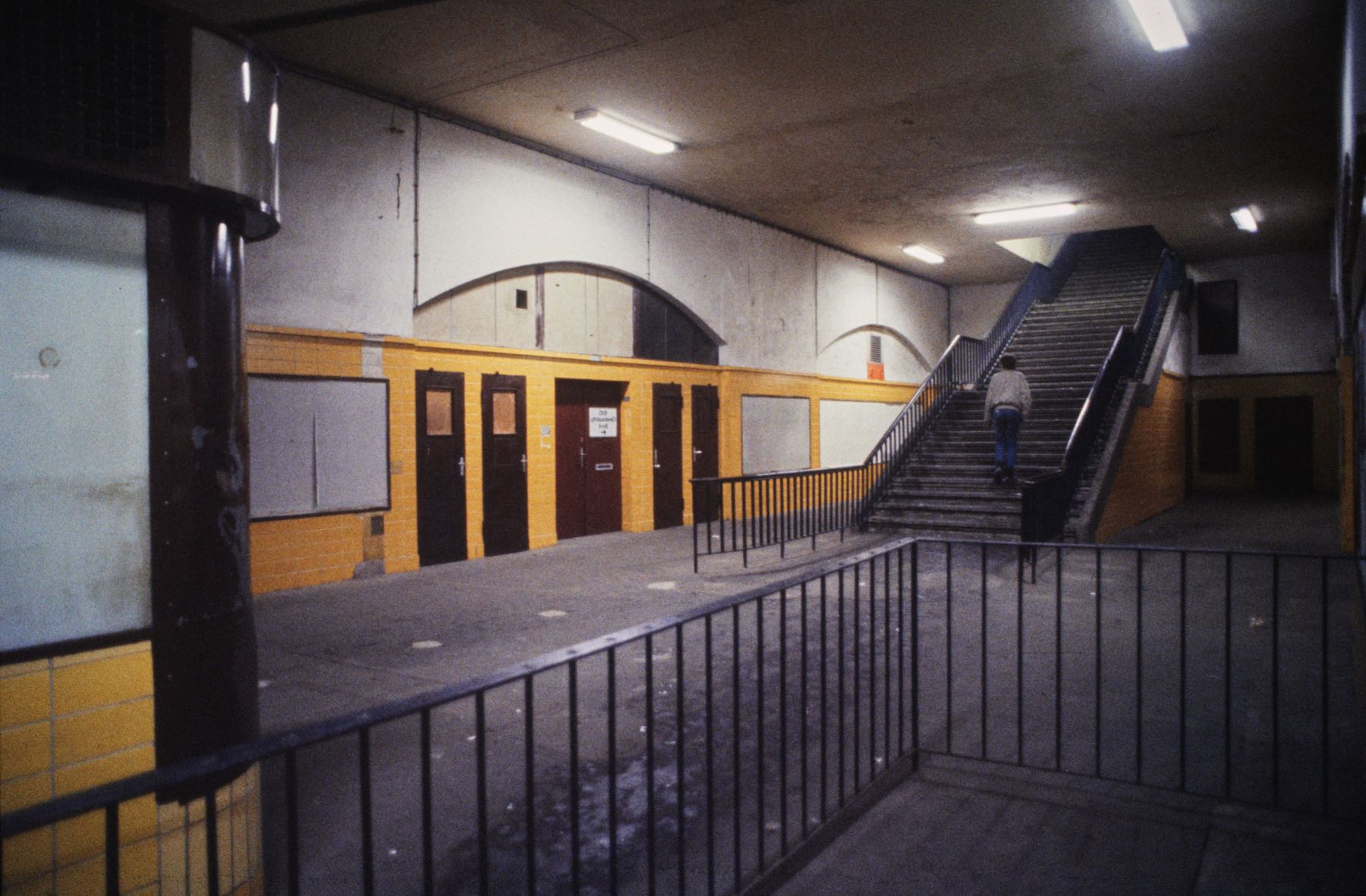 Thomas Willke   Kameramann   München