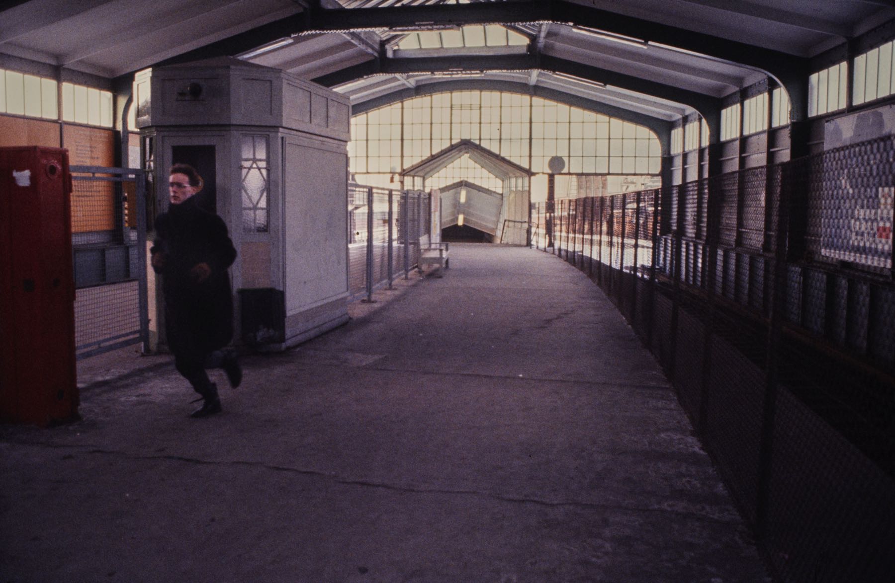 Thomas Willke   Kameramann   München