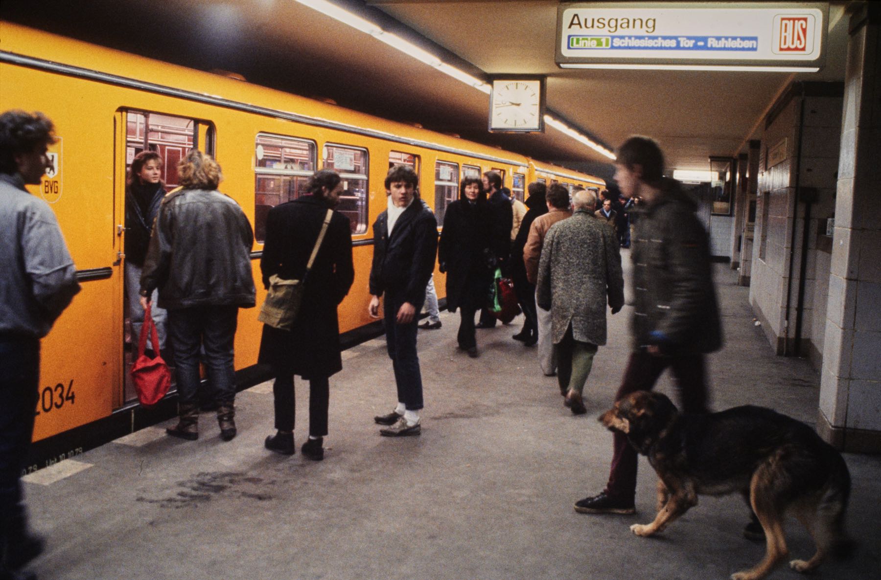 Thomas Willke   Kameramann   München