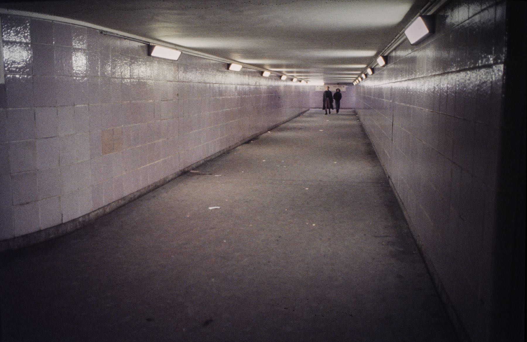 Thomas Willke   Kameramann   München