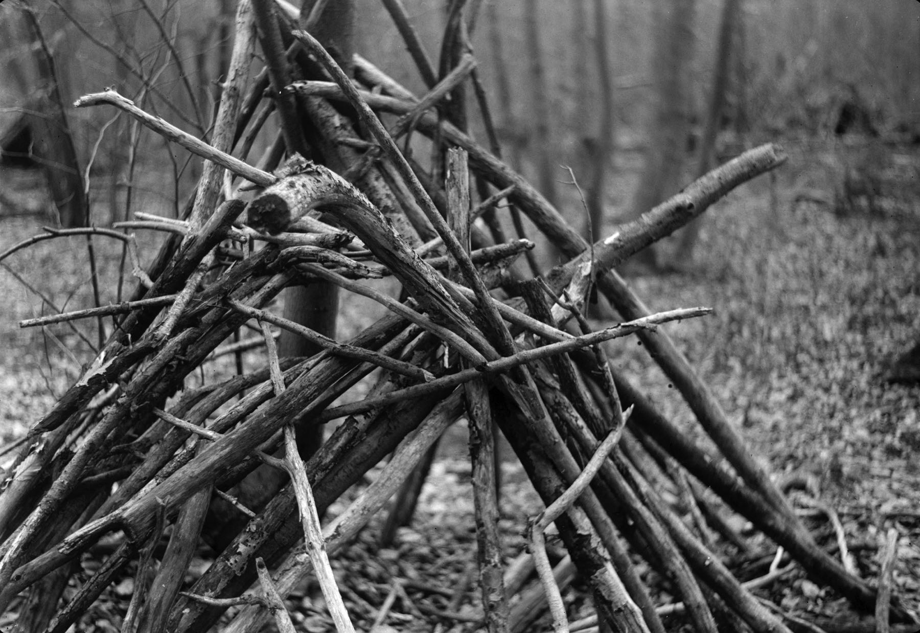 Thomas Willke   Kameramann   München