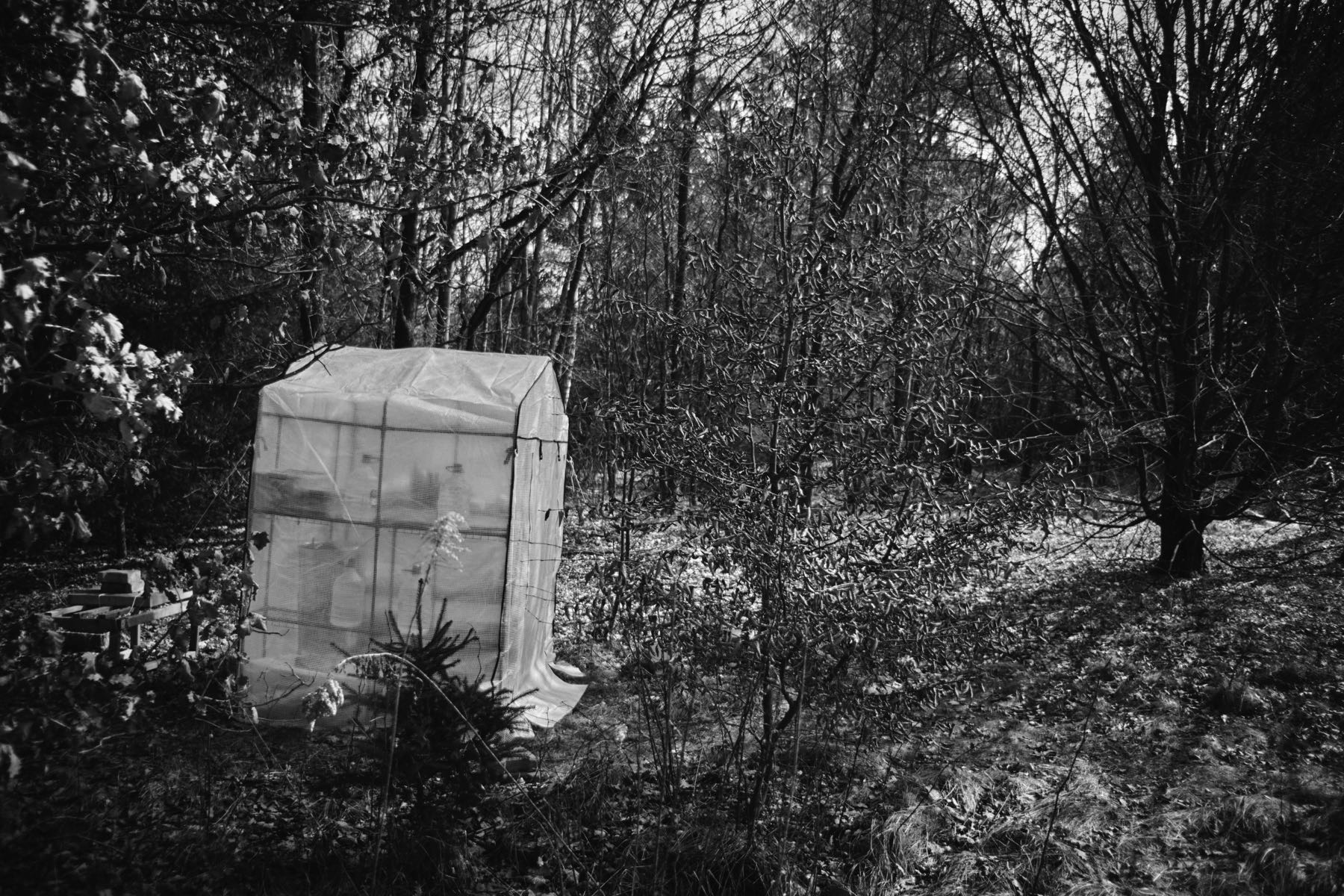 Thomas Willke   Kameramann   München