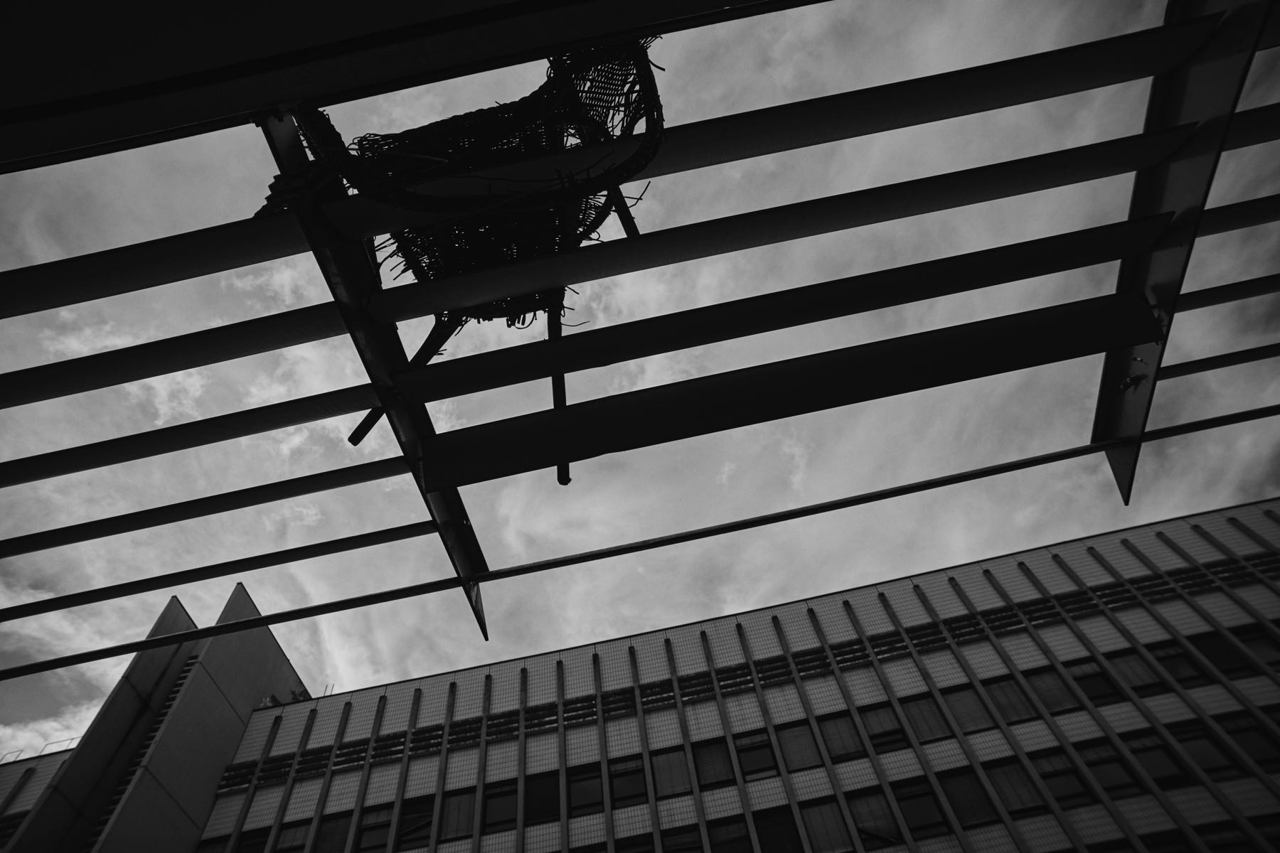 Thomas Willke   Kameramann   München