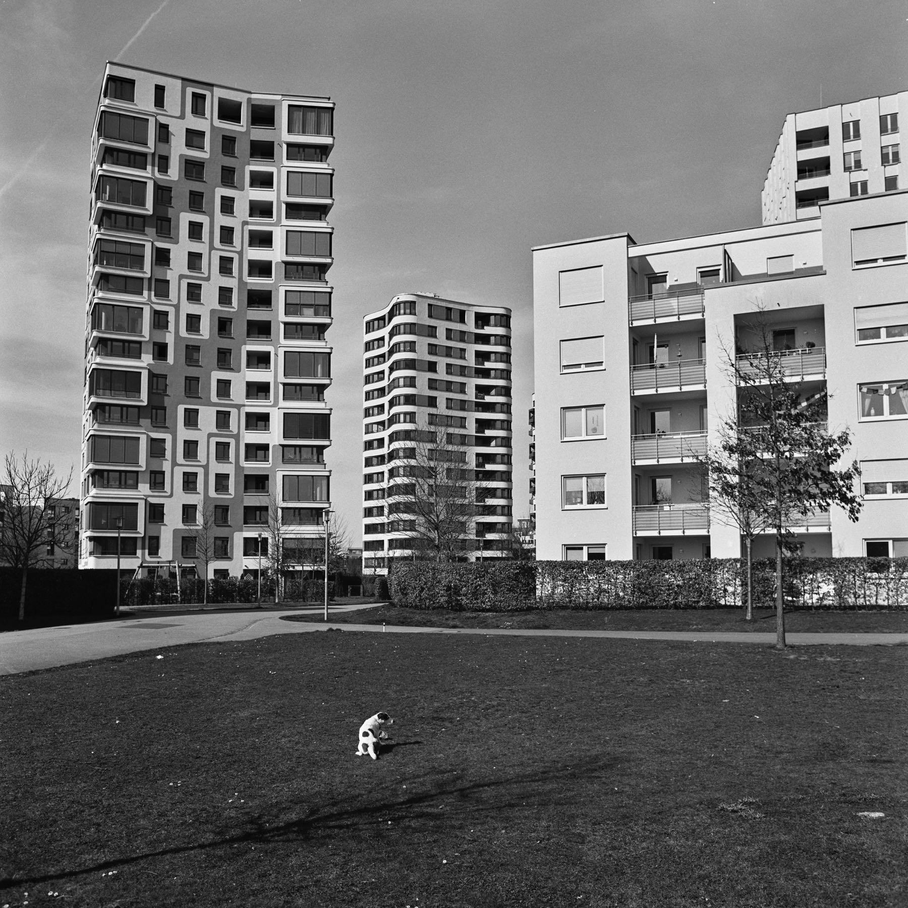 Thomas Willke &nbsp;&nbsp;Kameramann &nbsp;&nbsp;München