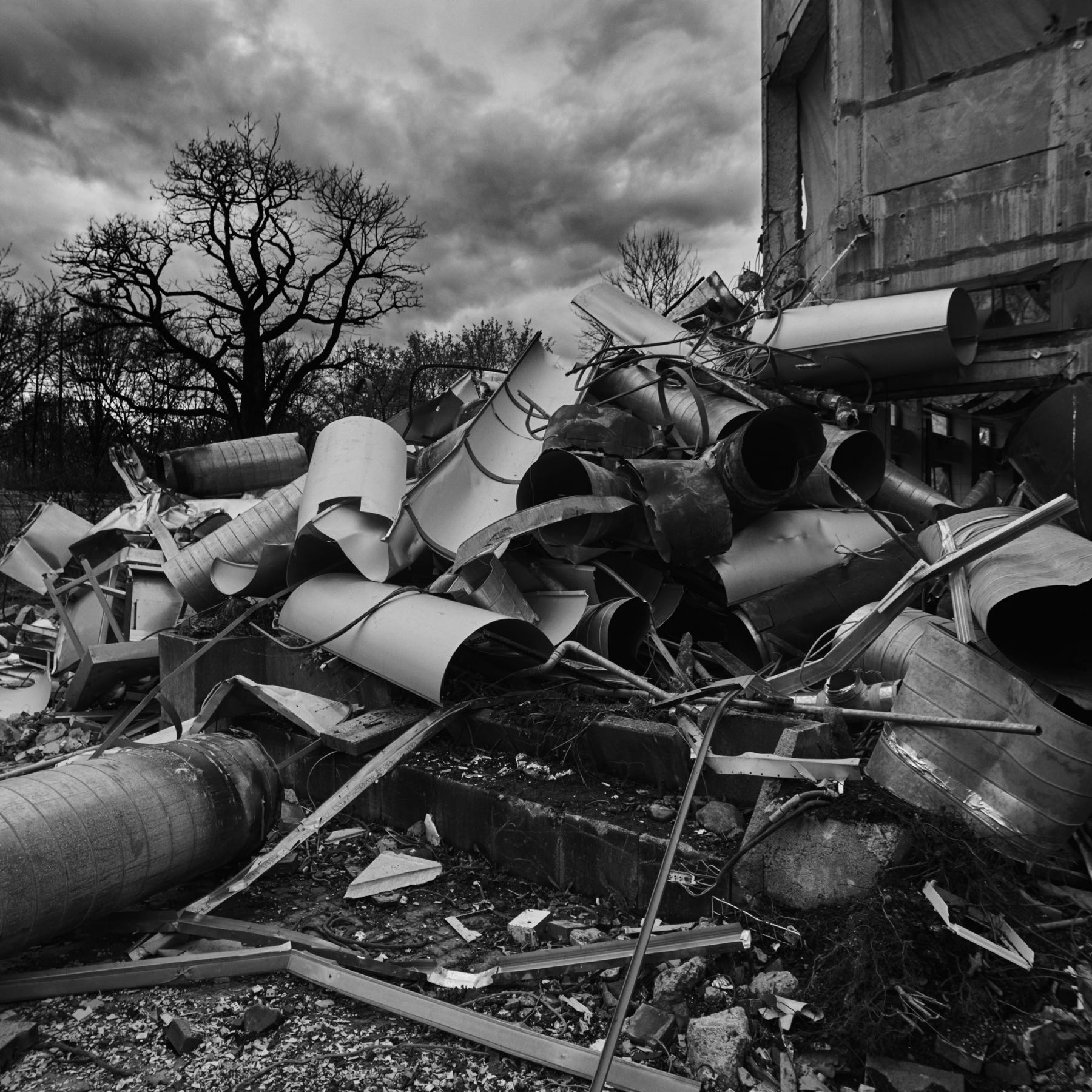 Thomas Willke &nbsp;&nbsp;Kameramann &nbsp;&nbsp;München