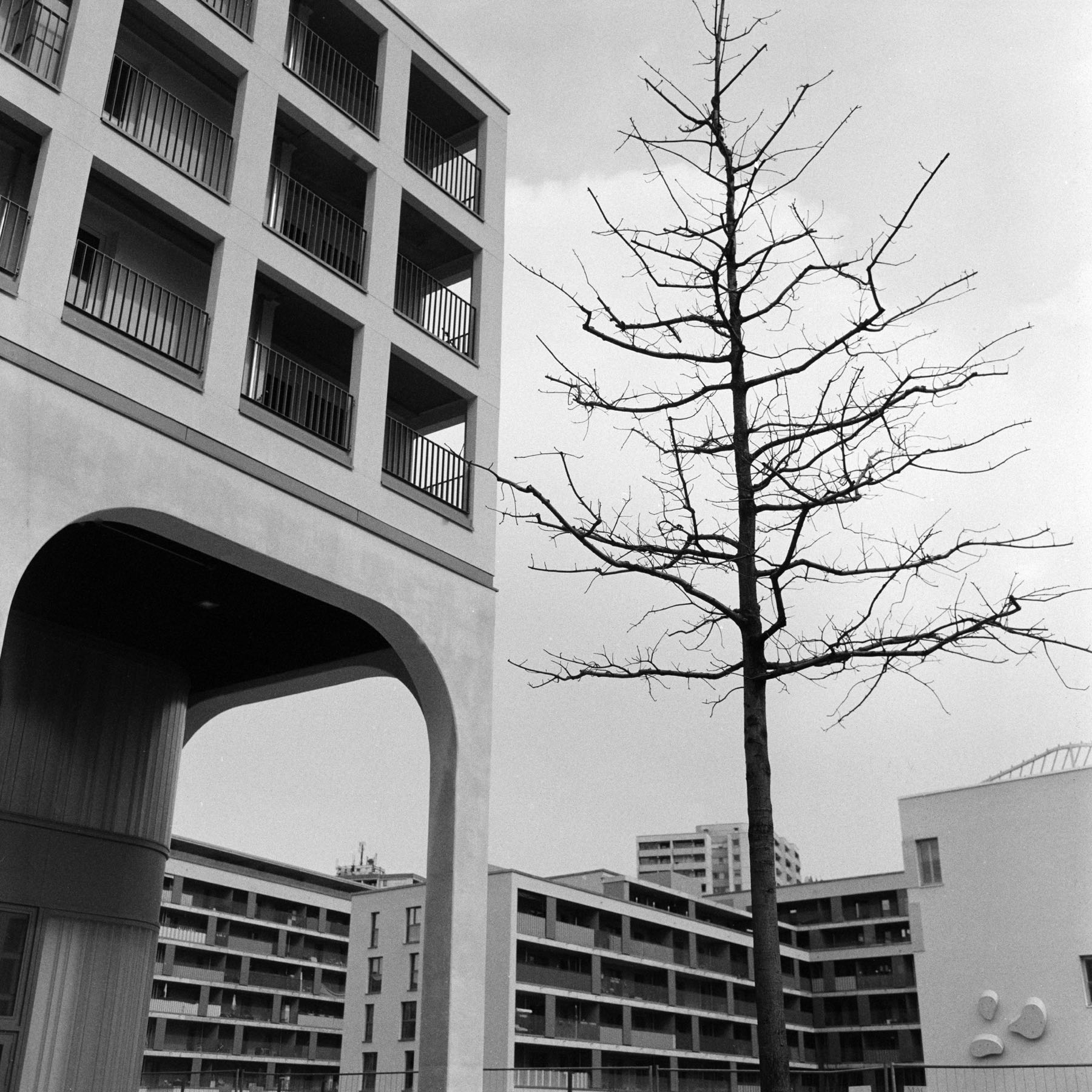 Thomas Willke &nbsp;&nbsp;Kameramann &nbsp;&nbsp;München