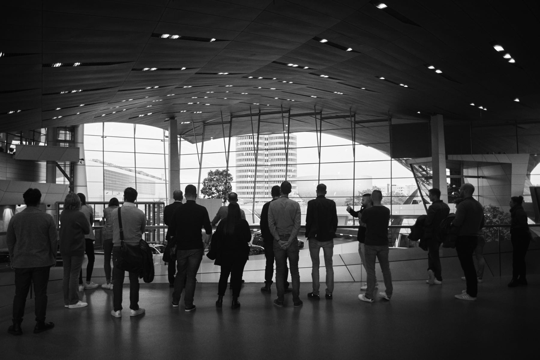 Thomas Willke   Kameramann   München