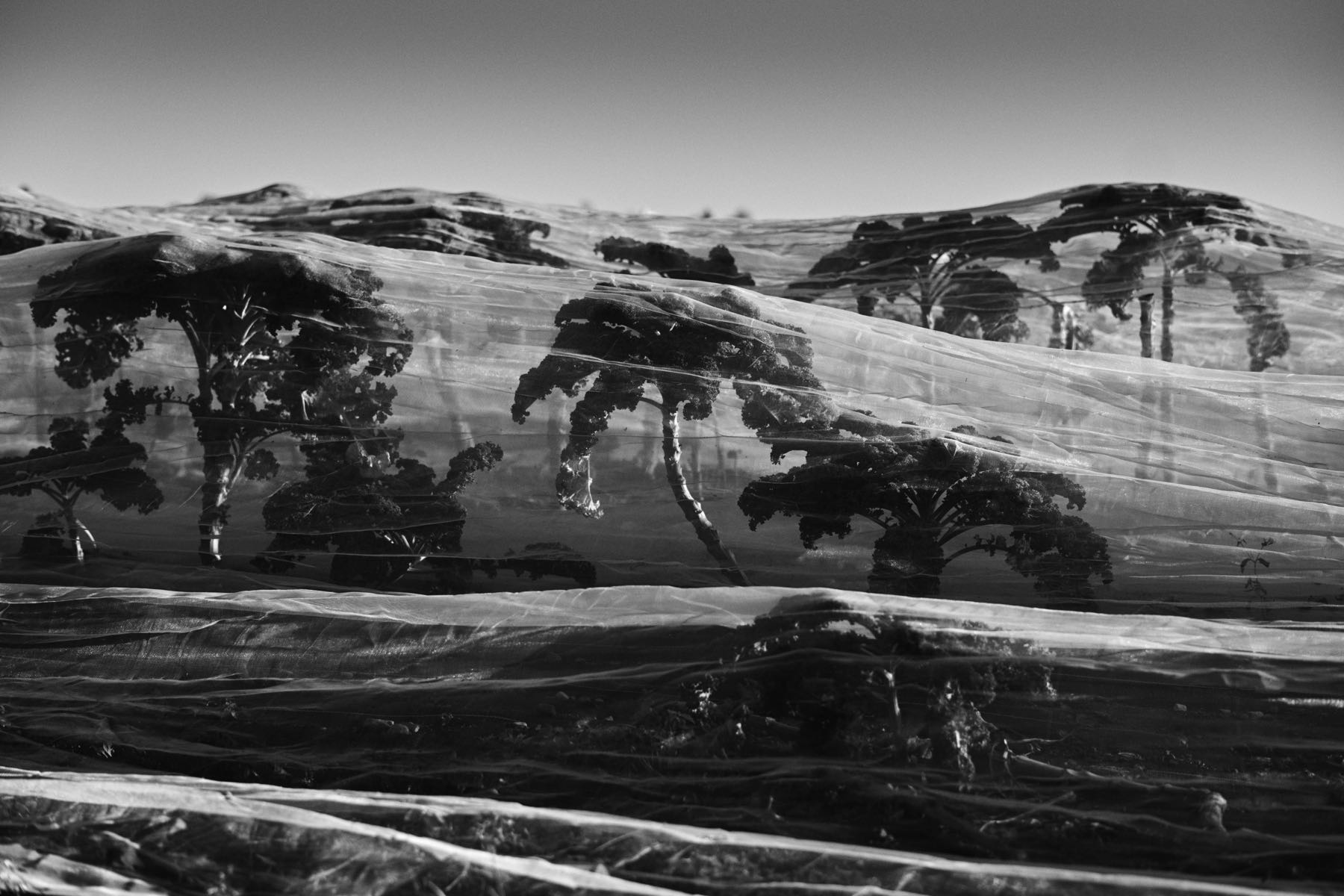 Thomas Willke   Kameramann   München